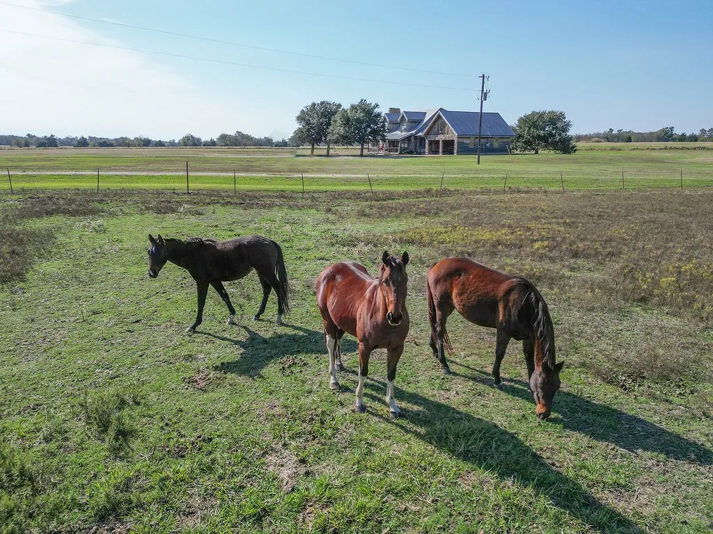 Single Family Residence For Sale in Rains County , 411 Rs County Road 4525, Point, Texas 75472, 4 Bedroom, 3 Bathroom, 2 Garage spaces, 2,744 Sqft, built in 1992, mls#20971227, Real Estate Agent in Point, Homes For Sale in Rains county, Homes For Sale in Point, Realtor in Point Texas, Real Estate Brokerage Independent Realty Texas, Luminita Cordes Realtor
