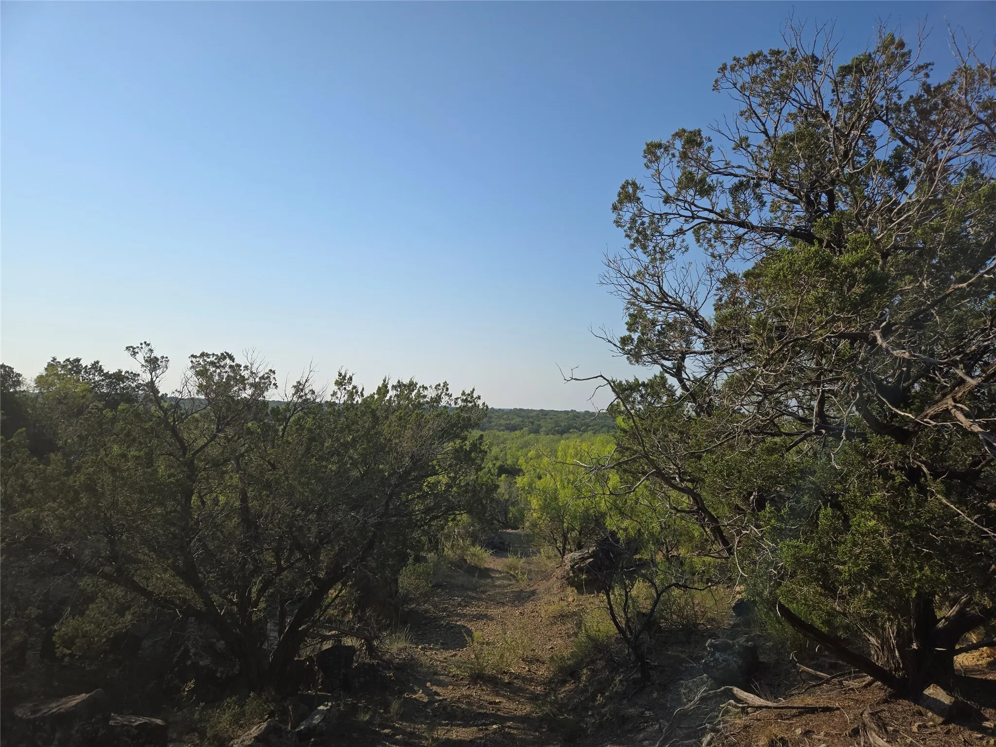View of nature