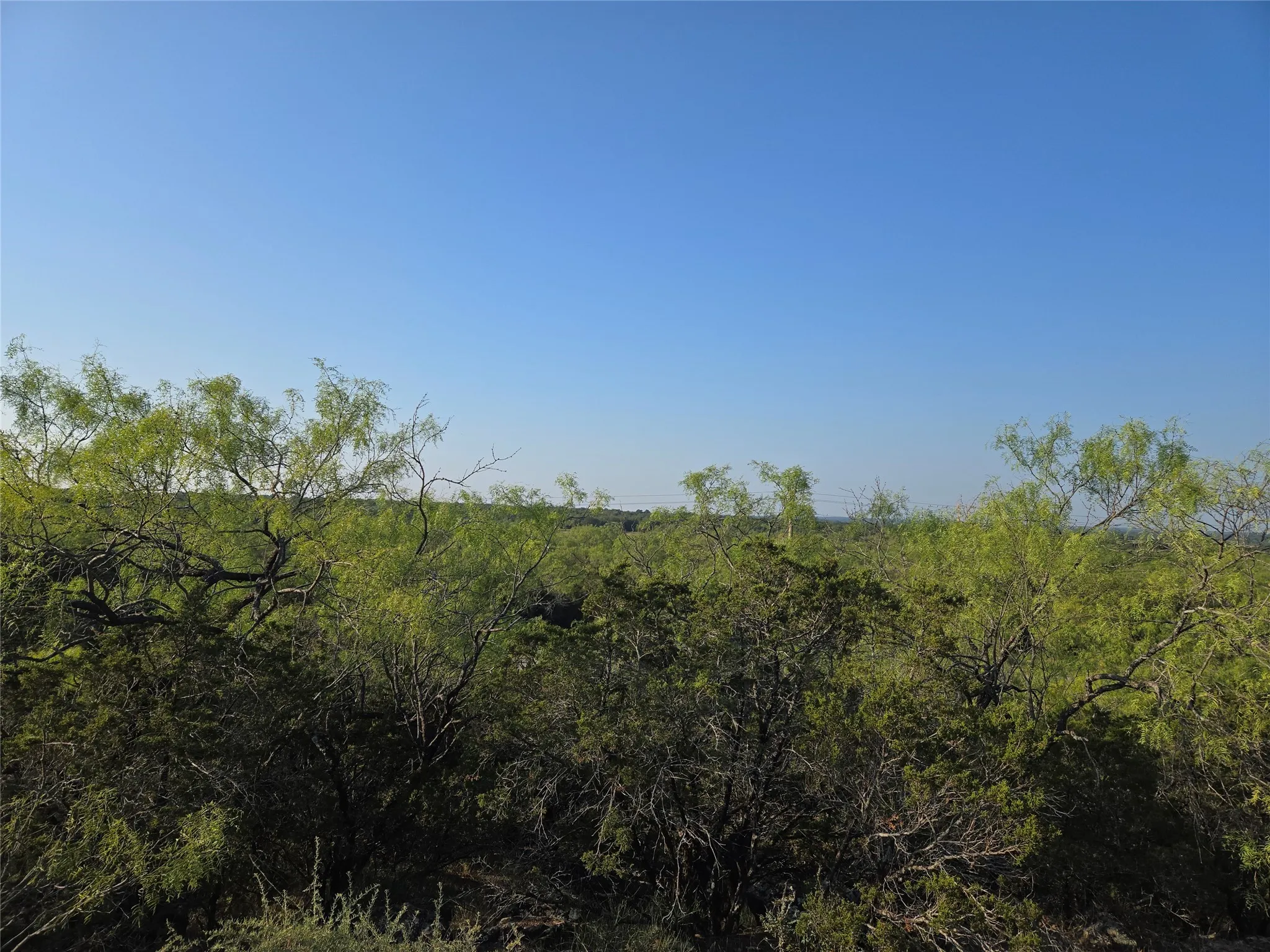 View of nature