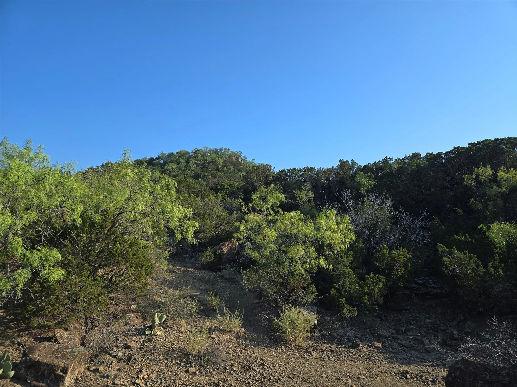 View of nature