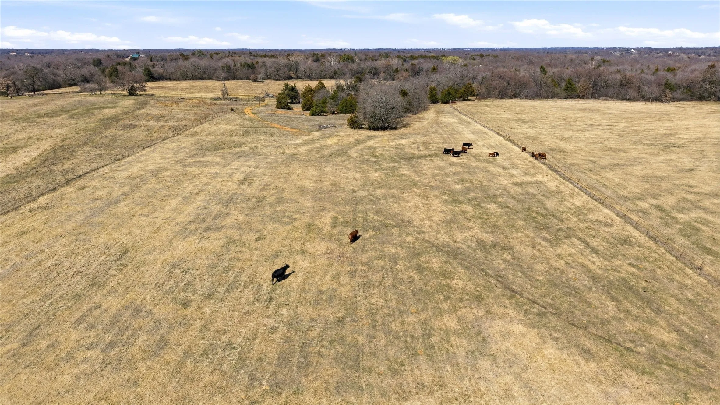 Single Family Residence For Sale in Grayson County , 929 County Line Church Road, Whitesboro, Texas 76273, 4 Bedroom, 4 Bathroom, 2 Garage spaces, 3,728 Sqft, built in 1996, mls#20967541, Real Estate Agent in Whitesboro, Homes For Sale in Grayson county, Homes For Sale in Whitesboro, Realtor in Whitesboro Texas, Real Estate Brokerage Independent Realty Texas, Luminita Cordes Realtor