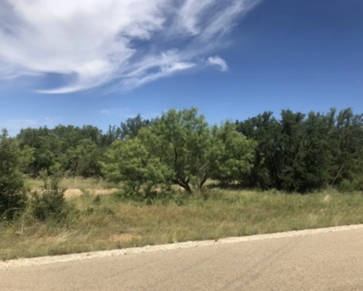 View of asphalt street with a view of trees