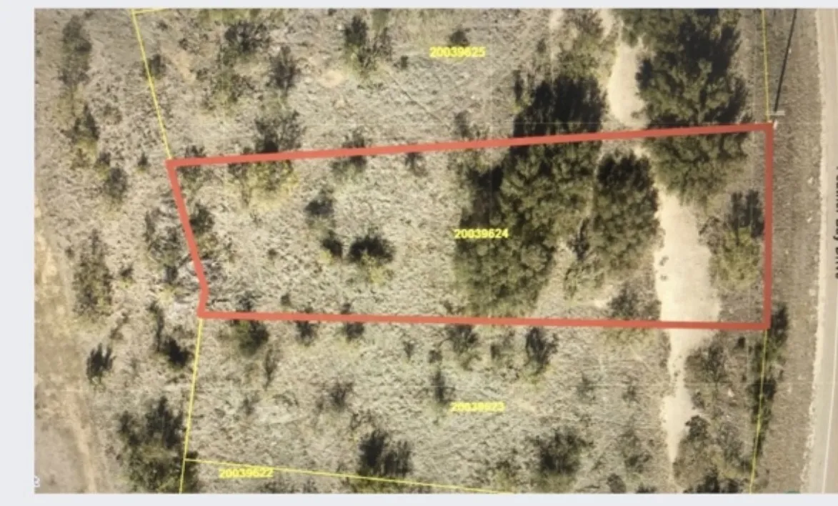 Aerial view of property's location