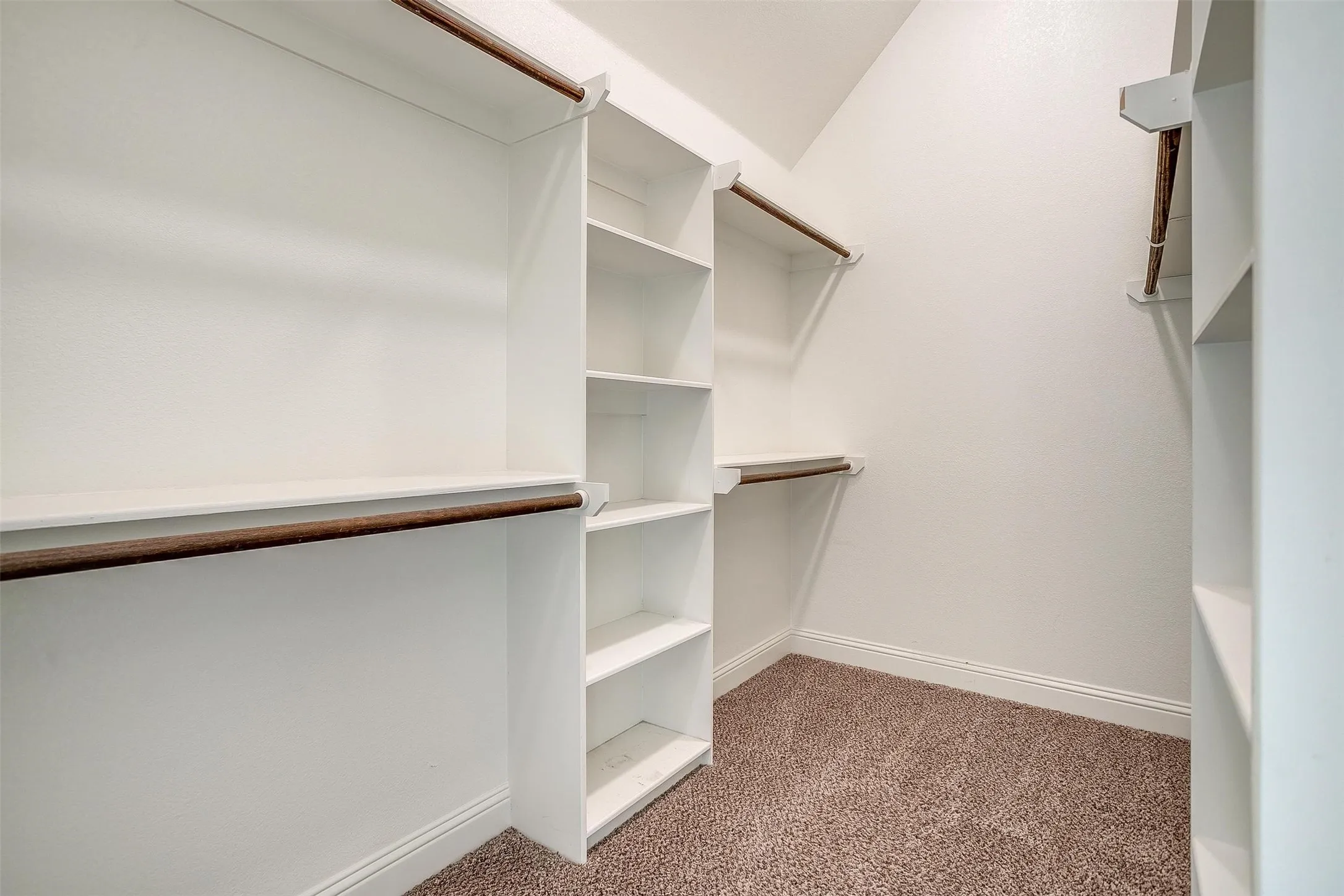 Spacious closet featuring carpet floors
