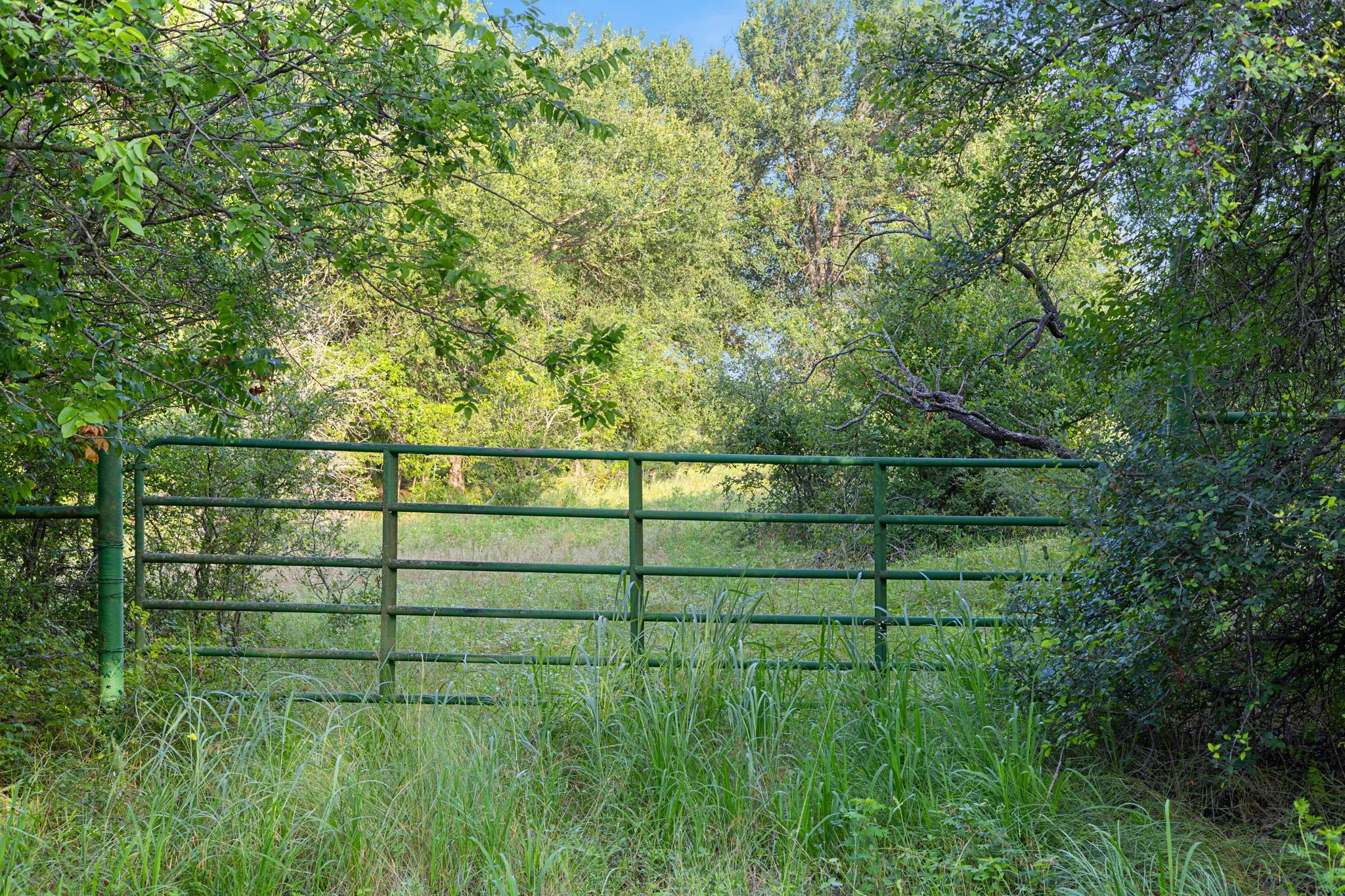 Unimproved Land For Sale in Montague County , TBD Tract 5 28.71 AC Boren Road, Ringgold, Texas 76261, 0, 0, Garage spaces, 0 Sqft, built in 0, mls#20972885, Real Estate Agent in Ringgold, Homes For Sale in Montague county, Homes For Sale in Ringgold, Realtor in Ringgold Texas, Real Estate Brokerage Independent Realty Texas, Luminita Cordes Realtor