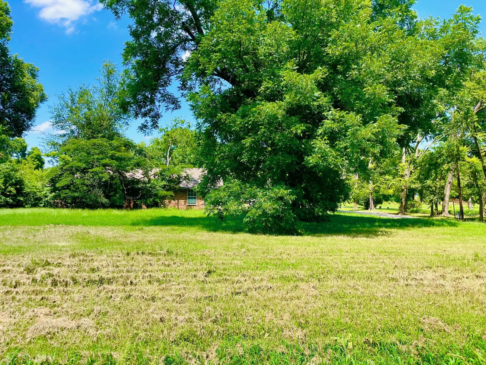 Boone Street View