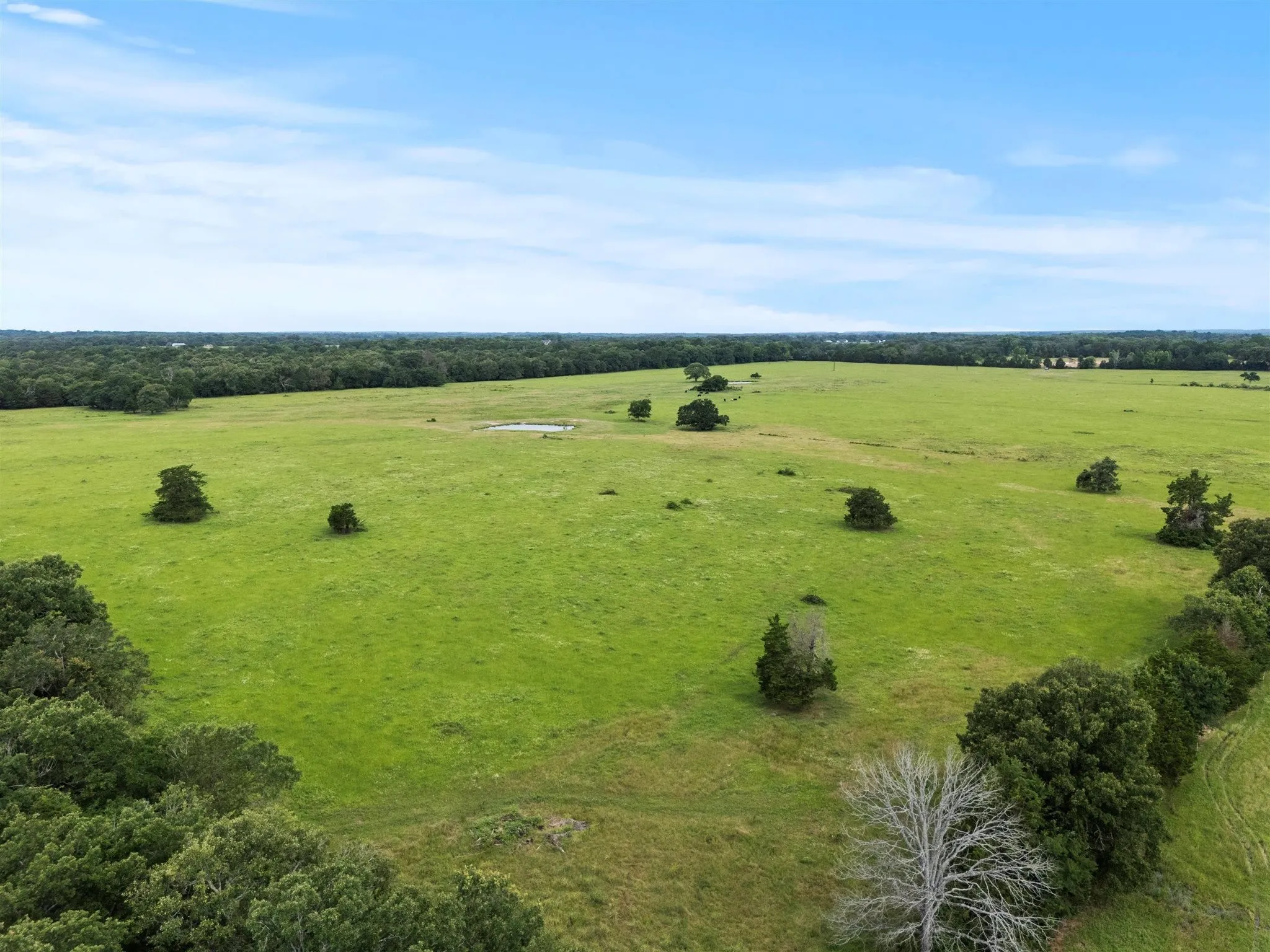 Ranch For Sale in Van Zandt County , 0000 VZ CR 4607 Road, Ben Wheeler, Texas 75754, 0, 0, Garage spaces, 0 Sqft, built in 0, Price $1,488,000, mls#20973289, Real Estate Agent in Ben Wheeler, Homes For Sale in Van Zandt county, Homes For Sale in Ben Wheeler, Realtor in Ben Wheeler Texas, Real Estate Brokerage Independent Realty Texas, Luminita Cordes Realtor