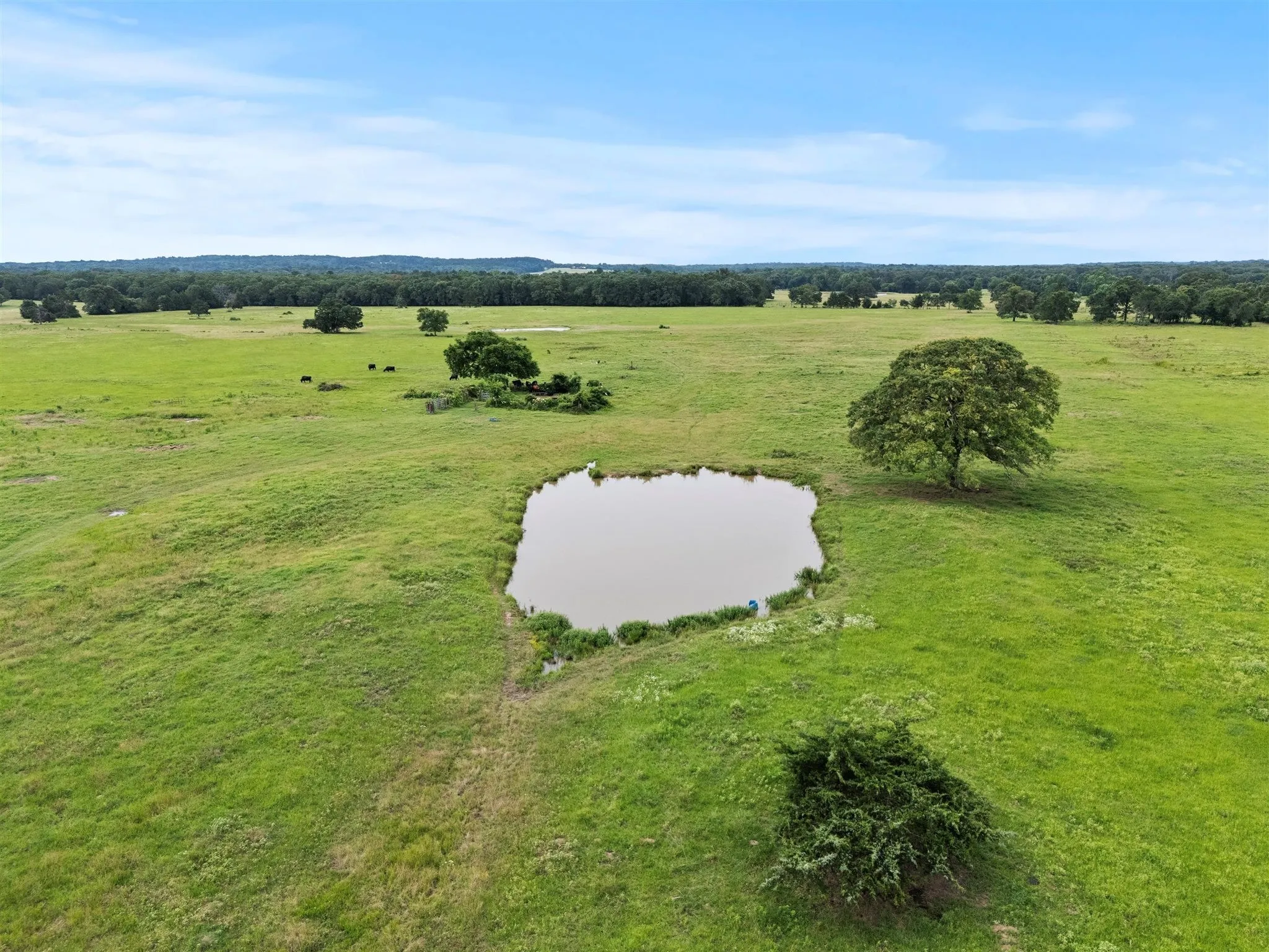 Ranch For Sale in Van Zandt County , 0000 VZ CR 4607 Road, Ben Wheeler, Texas 75754, 0, 0, Garage spaces, 0 Sqft, built in 0, Price $1,488,000, mls#20973289, Real Estate Agent in Ben Wheeler, Homes For Sale in Van Zandt county, Homes For Sale in Ben Wheeler, Realtor in Ben Wheeler Texas, Real Estate Brokerage Independent Realty Texas, Luminita Cordes Realtor