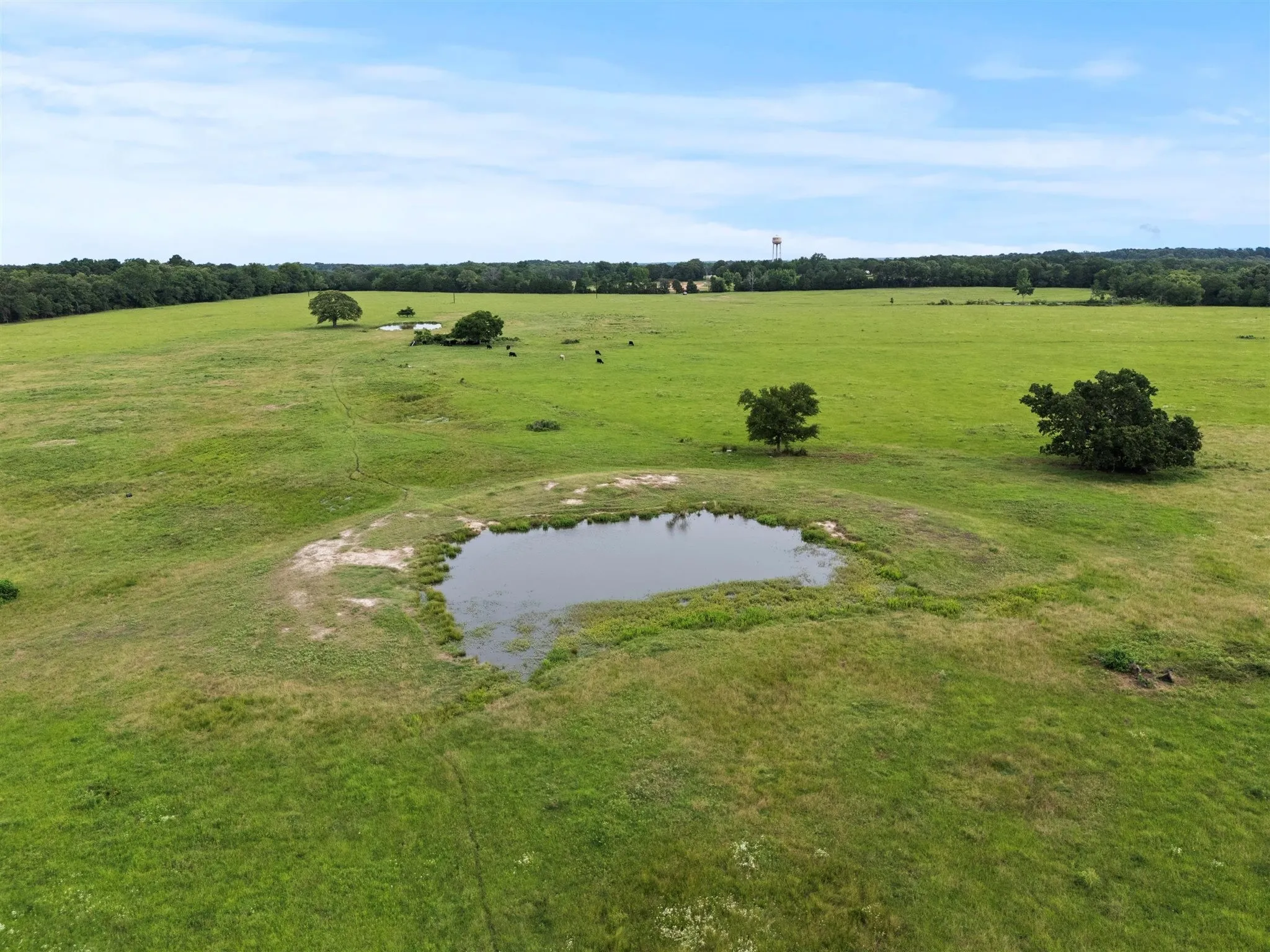Ranch For Sale in Van Zandt County , 0000 VZ CR 4607 Road, Ben Wheeler, Texas 75754, 0, 0, Garage spaces, 0 Sqft, built in 0, Price $1,488,000, mls#20973289, Real Estate Agent in Ben Wheeler, Homes For Sale in Van Zandt county, Homes For Sale in Ben Wheeler, Realtor in Ben Wheeler Texas, Real Estate Brokerage Independent Realty Texas, Luminita Cordes Realtor