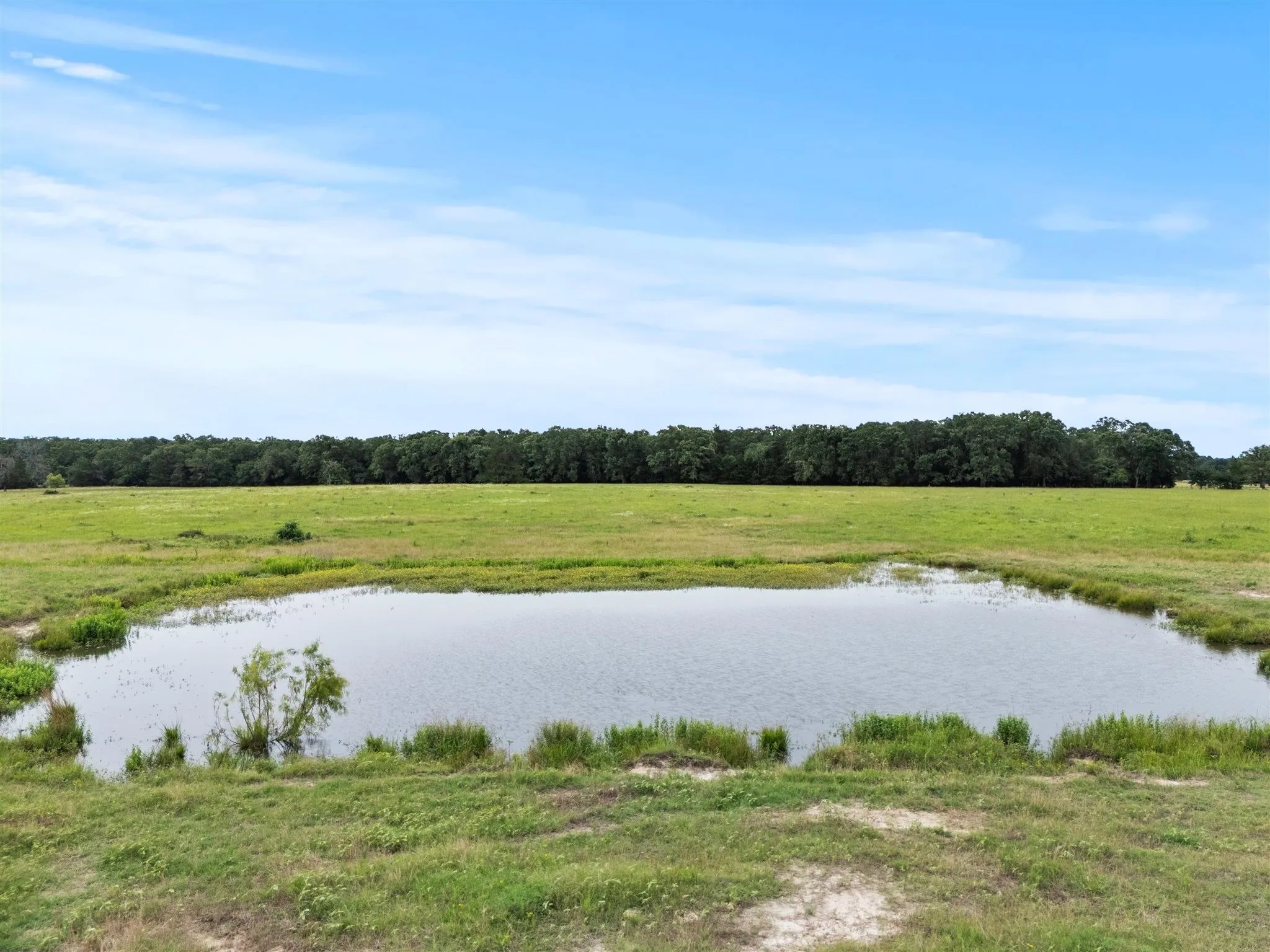 Ranch For Sale in Van Zandt County , 0000 VZ CR 4607 Road, Ben Wheeler, Texas 75754, 0, 0, Garage spaces, 0 Sqft, built in 0, Price $1,488,000, mls#20973289, Real Estate Agent in Ben Wheeler, Homes For Sale in Van Zandt county, Homes For Sale in Ben Wheeler, Realtor in Ben Wheeler Texas, Real Estate Brokerage Independent Realty Texas, Luminita Cordes Realtor