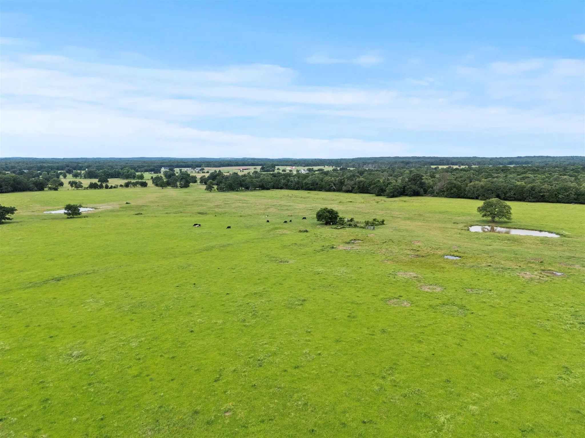 Ranch For Sale in Van Zandt County , 0000 VZ CR 4607 Road, Ben Wheeler, Texas 75754, 0, 0, Garage spaces, 0 Sqft, built in 0, Price $1,488,000, mls#20973289, Real Estate Agent in Ben Wheeler, Homes For Sale in Van Zandt county, Homes For Sale in Ben Wheeler, Realtor in Ben Wheeler Texas, Real Estate Brokerage Independent Realty Texas, Luminita Cordes Realtor
