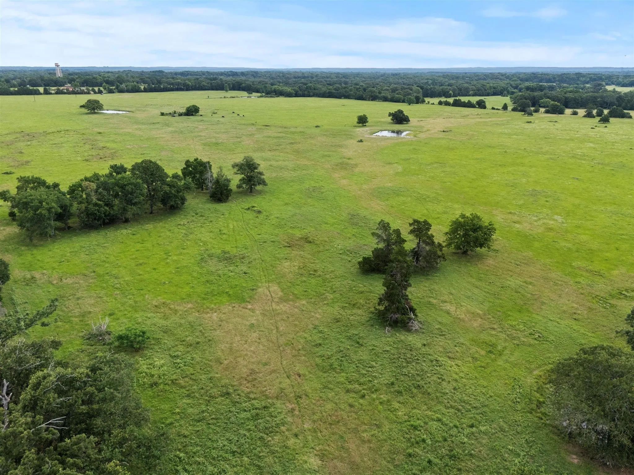 Ranch For Sale in Van Zandt County , 0000 VZ CR 4607 Road, Ben Wheeler, Texas 75754, 0, 0, Garage spaces, 0 Sqft, built in 0, Price $1,488,000, mls#20973289, Real Estate Agent in Ben Wheeler, Homes For Sale in Van Zandt county, Homes For Sale in Ben Wheeler, Realtor in Ben Wheeler Texas, Real Estate Brokerage Independent Realty Texas, Luminita Cordes Realtor
