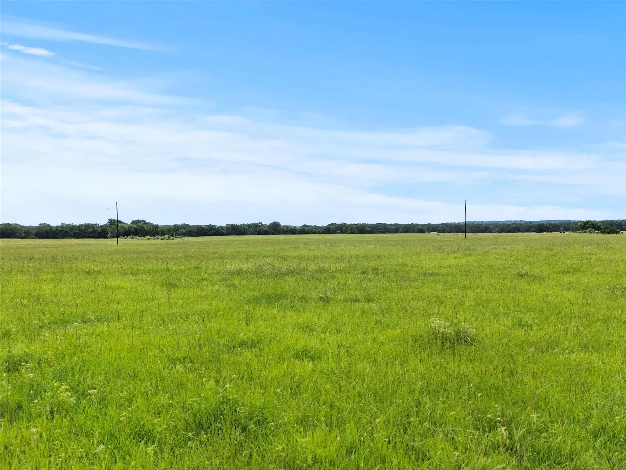 Ranch For Sale in Van Zandt County , 0000 VZ CR 4607 Road, Ben Wheeler, Texas 75754, 0, 0, Garage spaces, 0 Sqft, built in 0, Price $1,488,000, mls#20973289, Real Estate Agent in Ben Wheeler, Homes For Sale in Van Zandt county, Homes For Sale in Ben Wheeler, Realtor in Ben Wheeler Texas, Real Estate Brokerage Independent Realty Texas, Luminita Cordes Realtor
