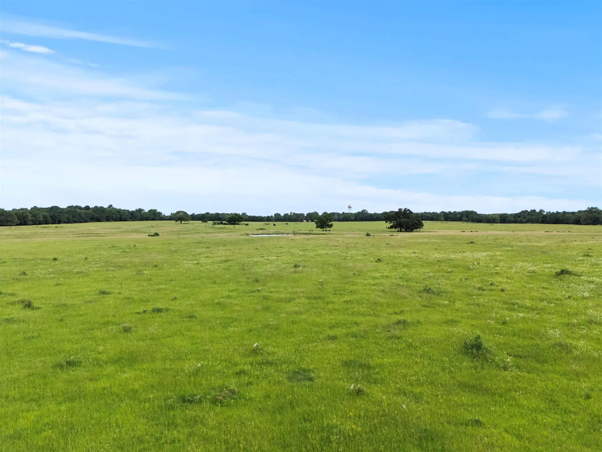 Ranch For Sale in Van Zandt County , 0000 VZ CR 4607 Road, Ben Wheeler, Texas 75754, 0, 0, Garage spaces, 0 Sqft, built in 0, Price $1,488,000, mls#20973289, Real Estate Agent in Ben Wheeler, Homes For Sale in Van Zandt county, Homes For Sale in Ben Wheeler, Realtor in Ben Wheeler Texas, Real Estate Brokerage Independent Realty Texas, Luminita Cordes Realtor