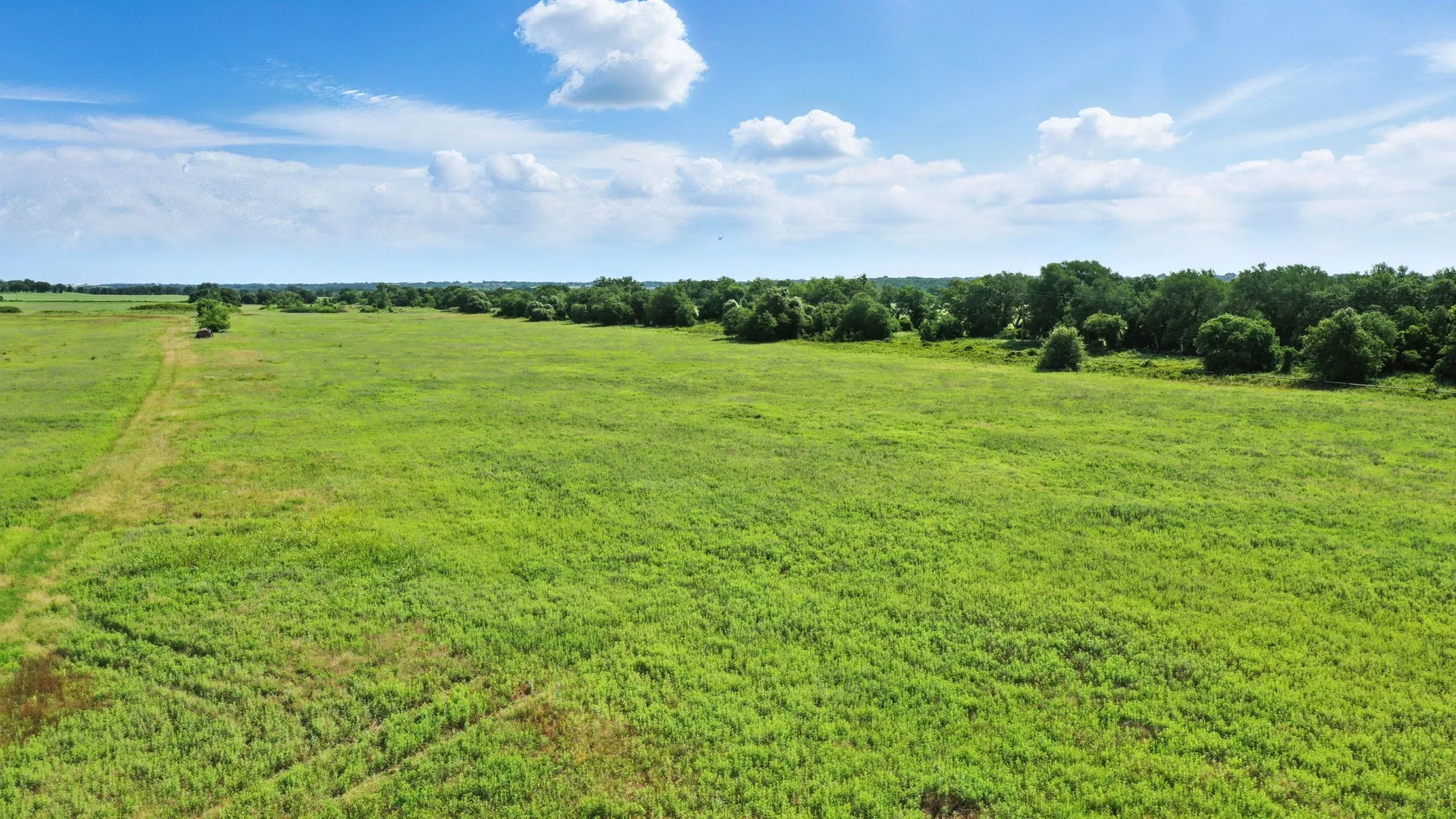 Unimproved Land For Sale in Erath County , 0000 County Road 357, De Leon, Texas 76444, 0, 0, Garage spaces, 0 Sqft, built in 0, Price $575,000, mls#20971213, Real Estate Agent in De Leon, Homes For Sale in Erath county, Homes For Sale in De Leon, Realtor in De Leon Texas, Real Estate Brokerage Independent Realty Texas, Luminita Cordes Realtor