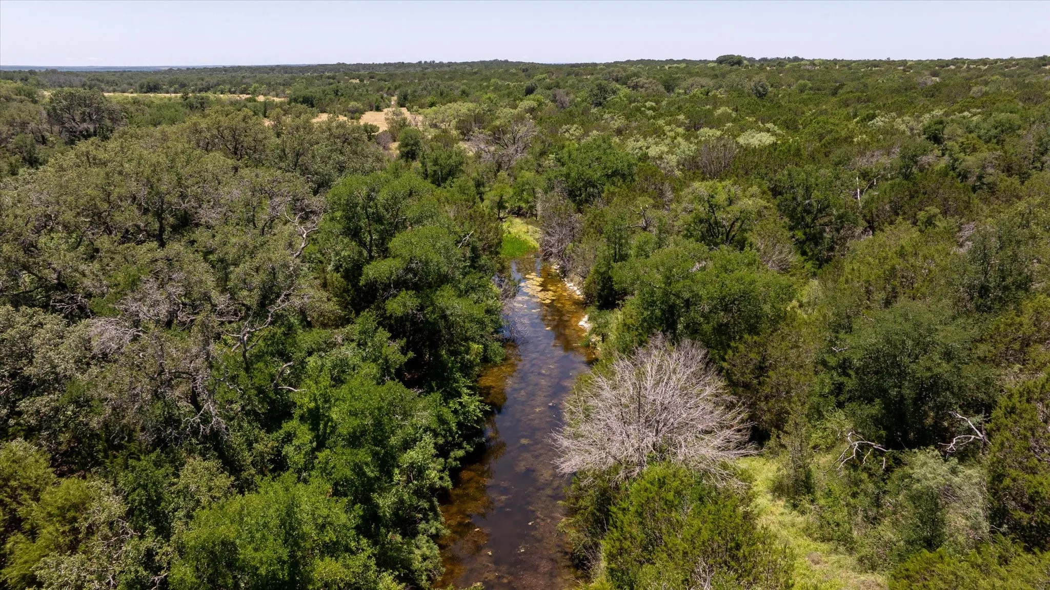 Ranch For Sale in Comanche County , TBD CR 386, Carlton, Texas 76436, 0, 0, Garage spaces, 0 Sqft, built in 0, mls#20965034, Real Estate Agent in Carlton, Homes For Sale in Comanche county, Homes For Sale in Carlton, Realtor in Carlton Texas, Real Estate Brokerage Independent Realty Texas, Luminita Cordes Realtor