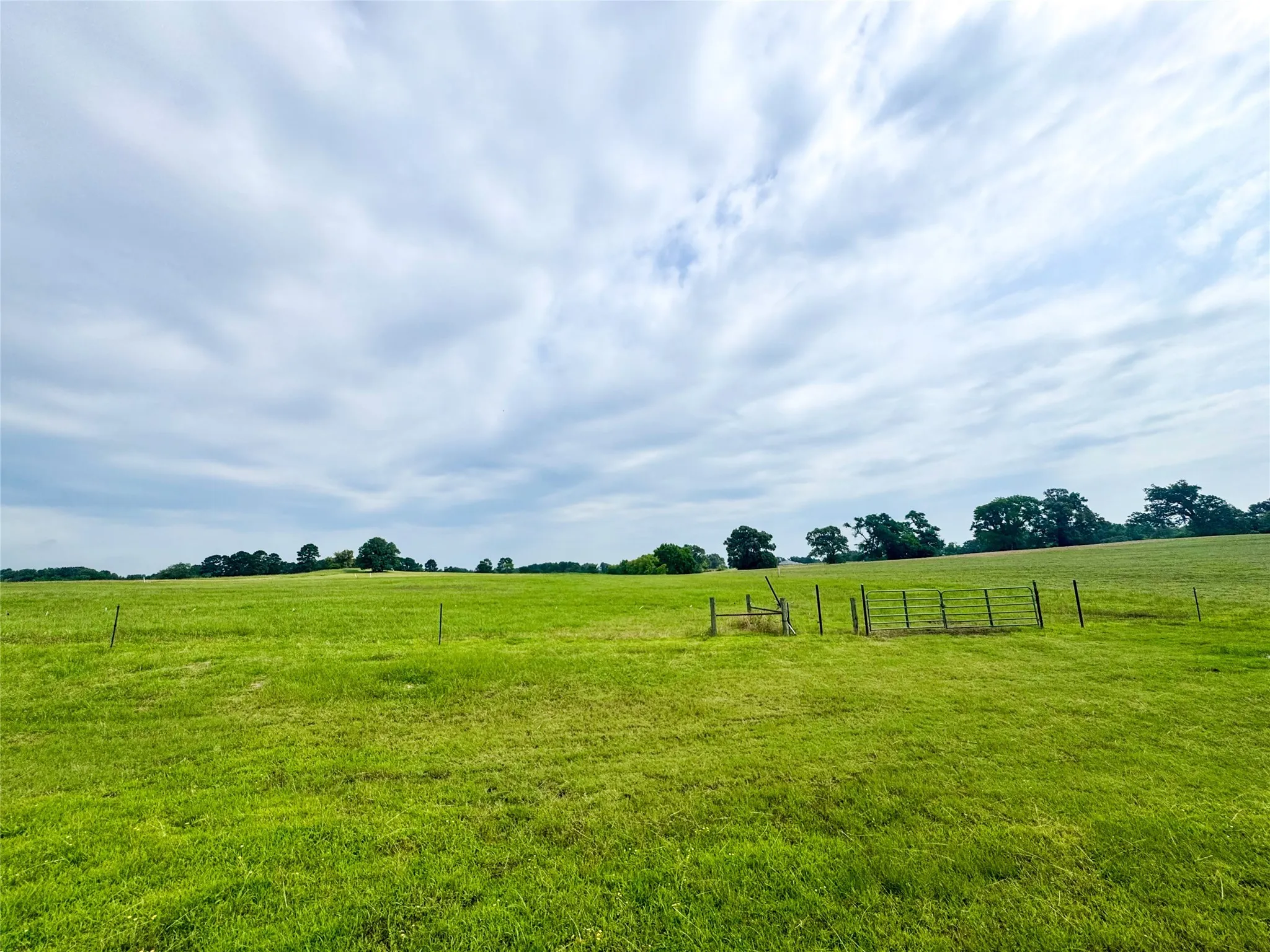 Unimproved Land For Sale in Camp County , Lot 62 CR 2320, Pittsburg, Texas 75686, 0, 0, Garage spaces, 0 Sqft, built in 0, Price $60,000, mls#20962231, Real Estate Agent in Pittsburg, Homes For Sale in Camp county, Homes For Sale in Pittsburg, Realtor in Pittsburg Texas, Real Estate Brokerage Independent Realty Texas, Luminita Cordes Realtor
