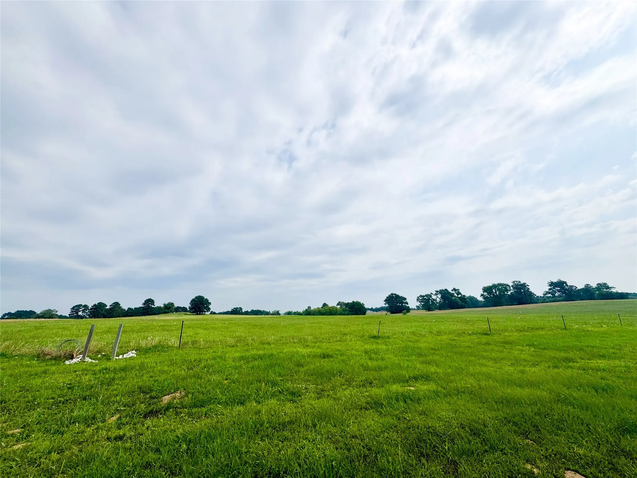 Unimproved Land For Sale in Camp County , Lot 62 CR 2320, Pittsburg, Texas 75686, 0, 0, Garage spaces, 0 Sqft, built in 0, Price $60,000, mls#20962231, Real Estate Agent in Pittsburg, Homes For Sale in Camp county, Homes For Sale in Pittsburg, Realtor in Pittsburg Texas, Real Estate Brokerage Independent Realty Texas, Luminita Cordes Realtor