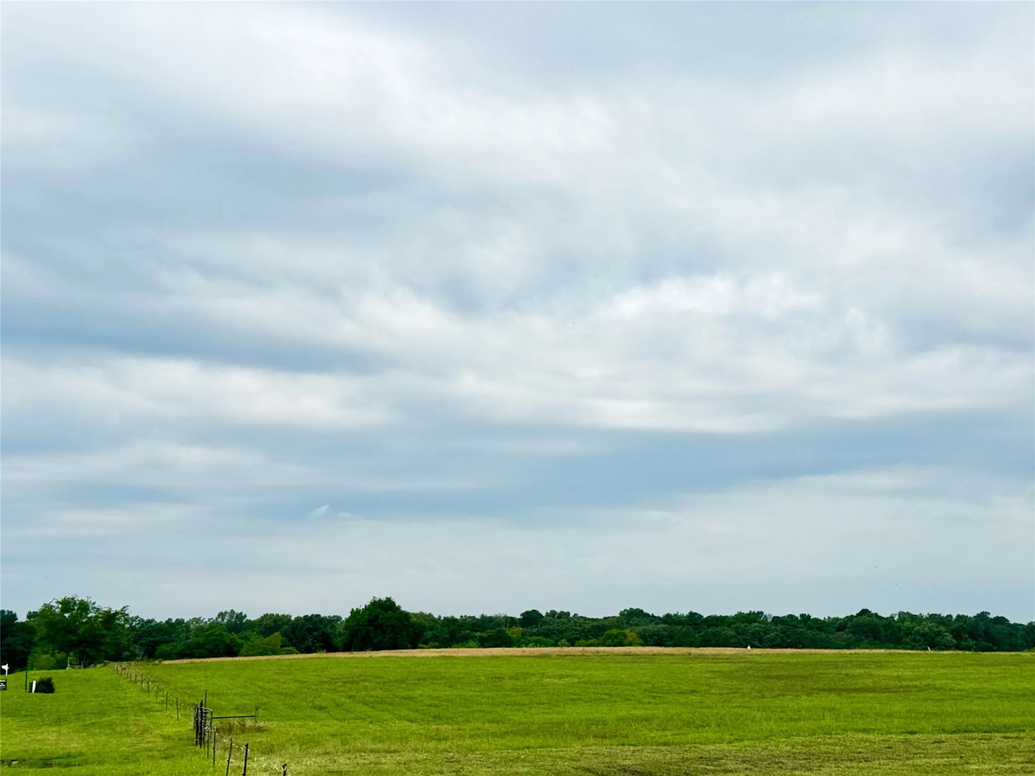 Unimproved Land For Sale in Camp County , Lot 62 CR 2320, Pittsburg, Texas 75686, 0, 0, Garage spaces, 0 Sqft, built in 0, Price $60,000, mls#20962231, Real Estate Agent in Pittsburg, Homes For Sale in Camp county, Homes For Sale in Pittsburg, Realtor in Pittsburg Texas, Real Estate Brokerage Independent Realty Texas, Luminita Cordes Realtor