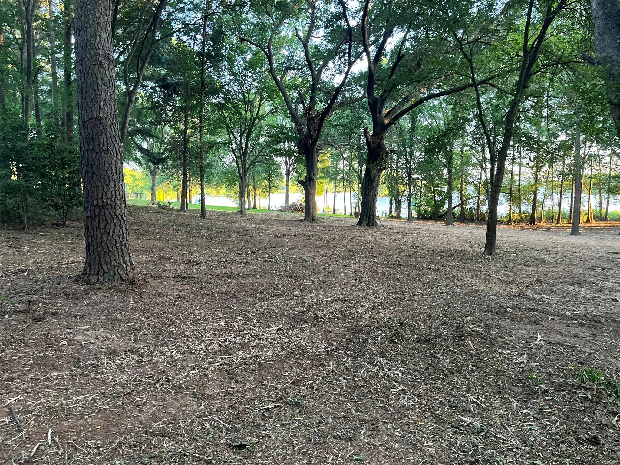 Unimproved Land For Sale in Henderson County , Lot 340 Grand View Drive, Athens, Texas 75752, 0, 0, Garage spaces, 0 Sqft, built in 0, Price $163,500, mls#20975093, Real Estate Agent in Athens, Homes For Sale in Henderson county, Homes For Sale in Athens, Realtor in Athens Texas, Real Estate Brokerage Independent Realty Texas, Luminita Cordes Realtor