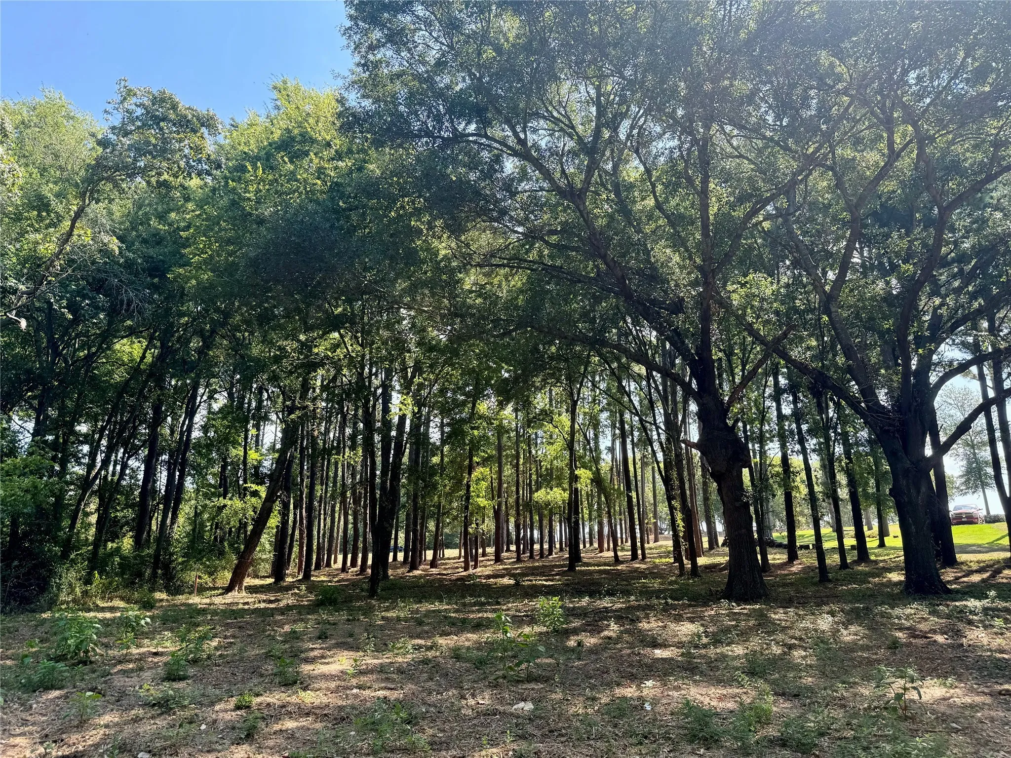 Unimproved Land For Sale in Henderson County , Lot 340 Grand View Drive, Athens, Texas 75752, 0, 0, Garage spaces, 0 Sqft, built in 0, Price $163,500, mls#20975093, Real Estate Agent in Athens, Homes For Sale in Henderson county, Homes For Sale in Athens, Realtor in Athens Texas, Real Estate Brokerage Independent Realty Texas, Luminita Cordes Realtor