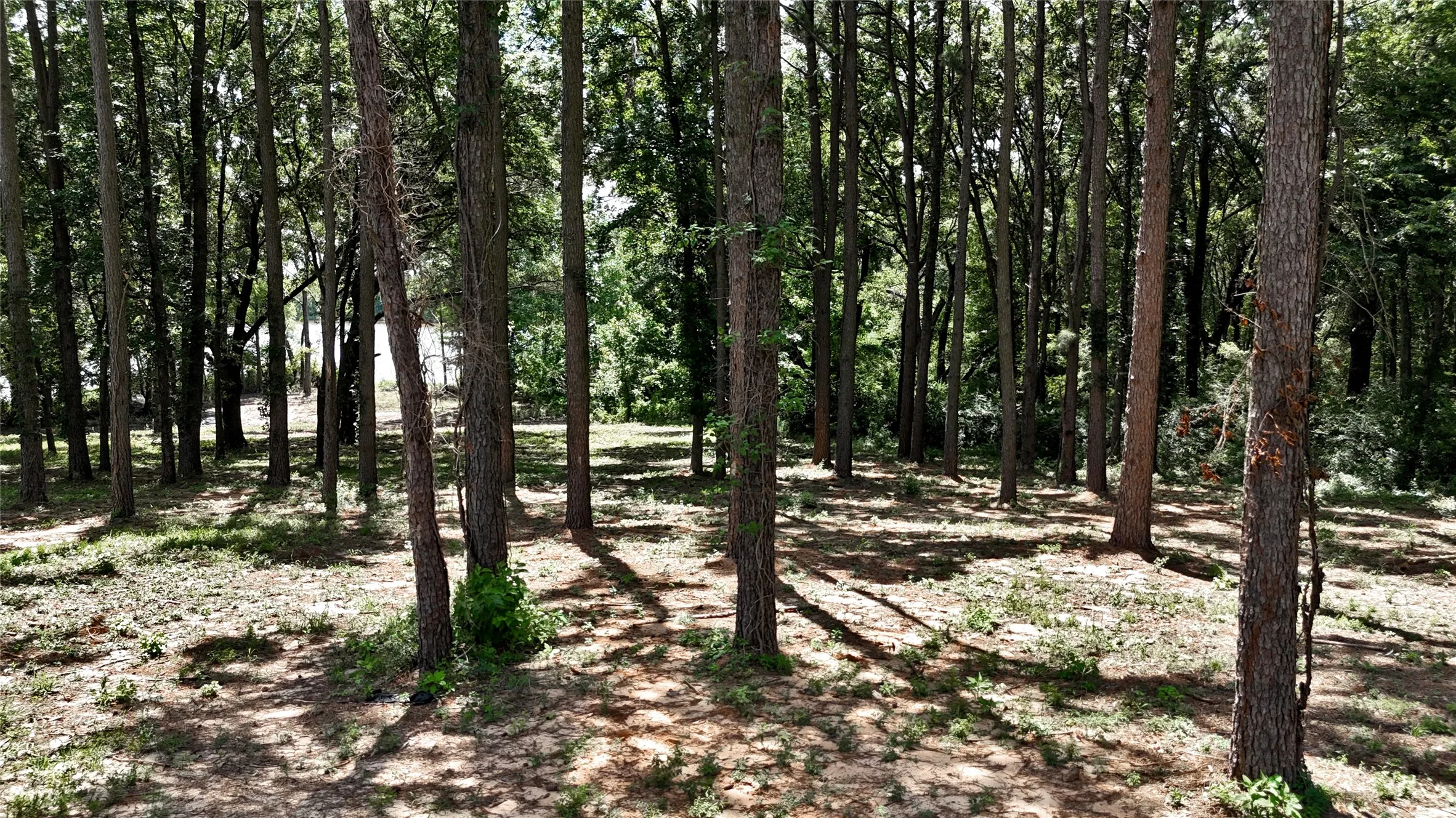 Unimproved Land For Sale in Henderson County , Lot 340 Grand View Drive, Athens, Texas 75752, 0, 0, Garage spaces, 0 Sqft, built in 0, Price $163,500, mls#20975093, Real Estate Agent in Athens, Homes For Sale in Henderson county, Homes For Sale in Athens, Realtor in Athens Texas, Real Estate Brokerage Independent Realty Texas, Luminita Cordes Realtor