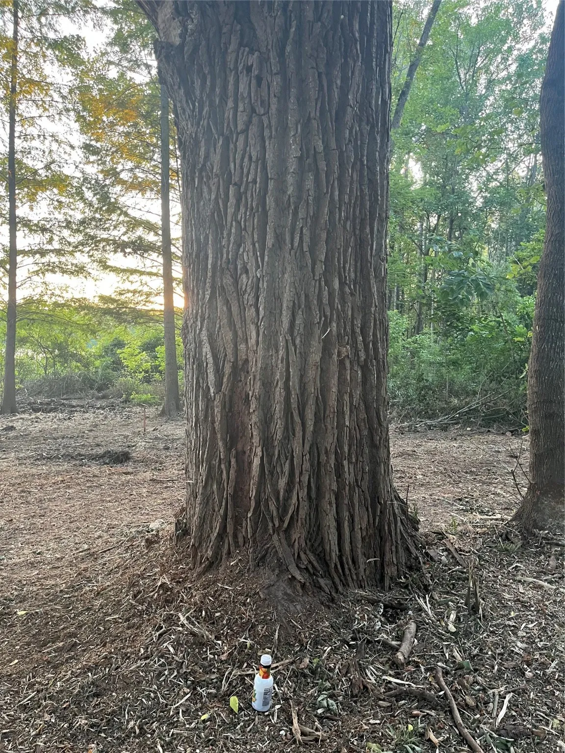 Unimproved Land For Sale in Henderson County , Lot 340 Grand View Drive, Athens, Texas 75752, 0, 0, Garage spaces, 0 Sqft, built in 0, Price $163,500, mls#20975093, Real Estate Agent in Athens, Homes For Sale in Henderson county, Homes For Sale in Athens, Realtor in Athens Texas, Real Estate Brokerage Independent Realty Texas, Luminita Cordes Realtor