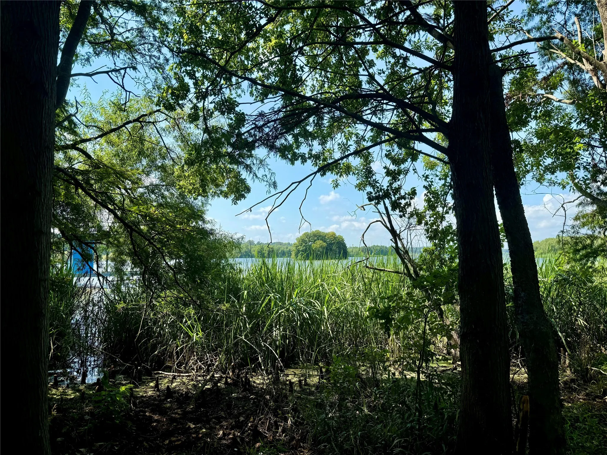 Unimproved Land For Sale in Henderson County , Lot 340 Grand View Drive, Athens, Texas 75752, 0, 0, Garage spaces, 0 Sqft, built in 0, Price $163,500, mls#20975093, Real Estate Agent in Athens, Homes For Sale in Henderson county, Homes For Sale in Athens, Realtor in Athens Texas, Real Estate Brokerage Independent Realty Texas, Luminita Cordes Realtor