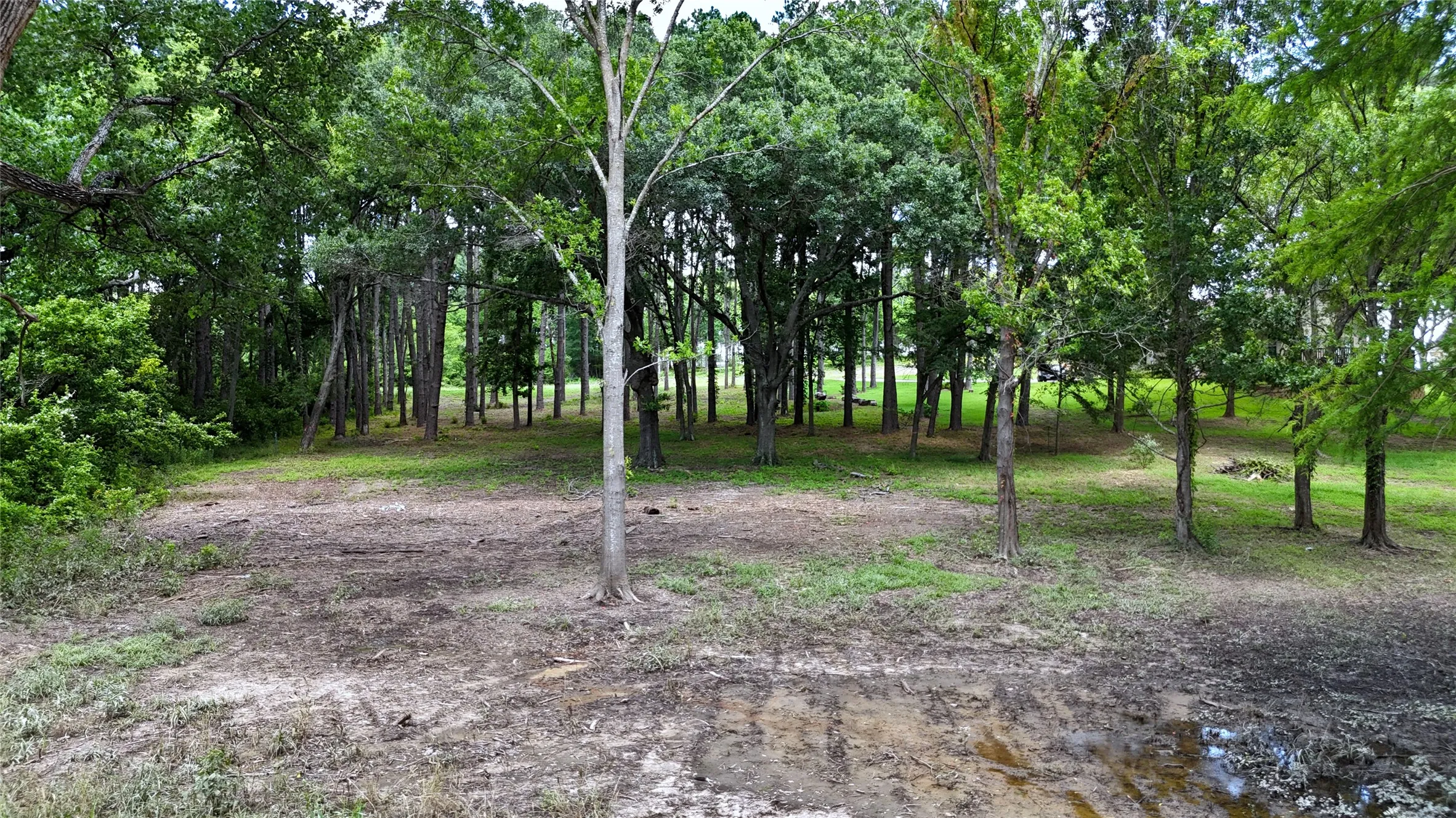 Unimproved Land For Sale in Henderson County , Lot 340 Grand View Drive, Athens, Texas 75752, 0, 0, Garage spaces, 0 Sqft, built in 0, Price $163,500, mls#20975093, Real Estate Agent in Athens, Homes For Sale in Henderson county, Homes For Sale in Athens, Realtor in Athens Texas, Real Estate Brokerage Independent Realty Texas, Luminita Cordes Realtor