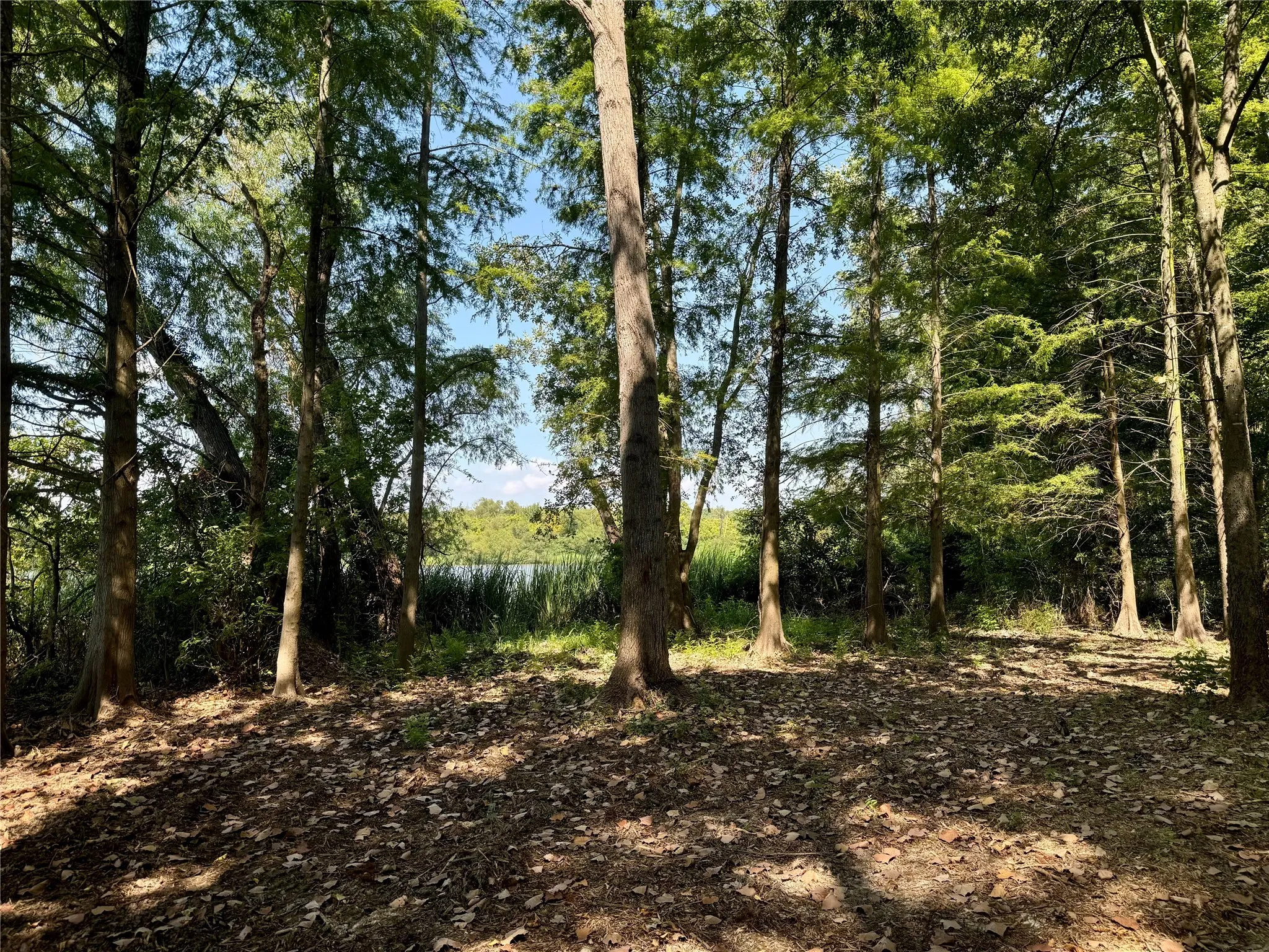 Unimproved Land For Sale in Henderson County , Lot 340 Grand View Drive, Athens, Texas 75752, 0, 0, Garage spaces, 0 Sqft, built in 0, Price $163,500, mls#20975093, Real Estate Agent in Athens, Homes For Sale in Henderson county, Homes For Sale in Athens, Realtor in Athens Texas, Real Estate Brokerage Independent Realty Texas, Luminita Cordes Realtor