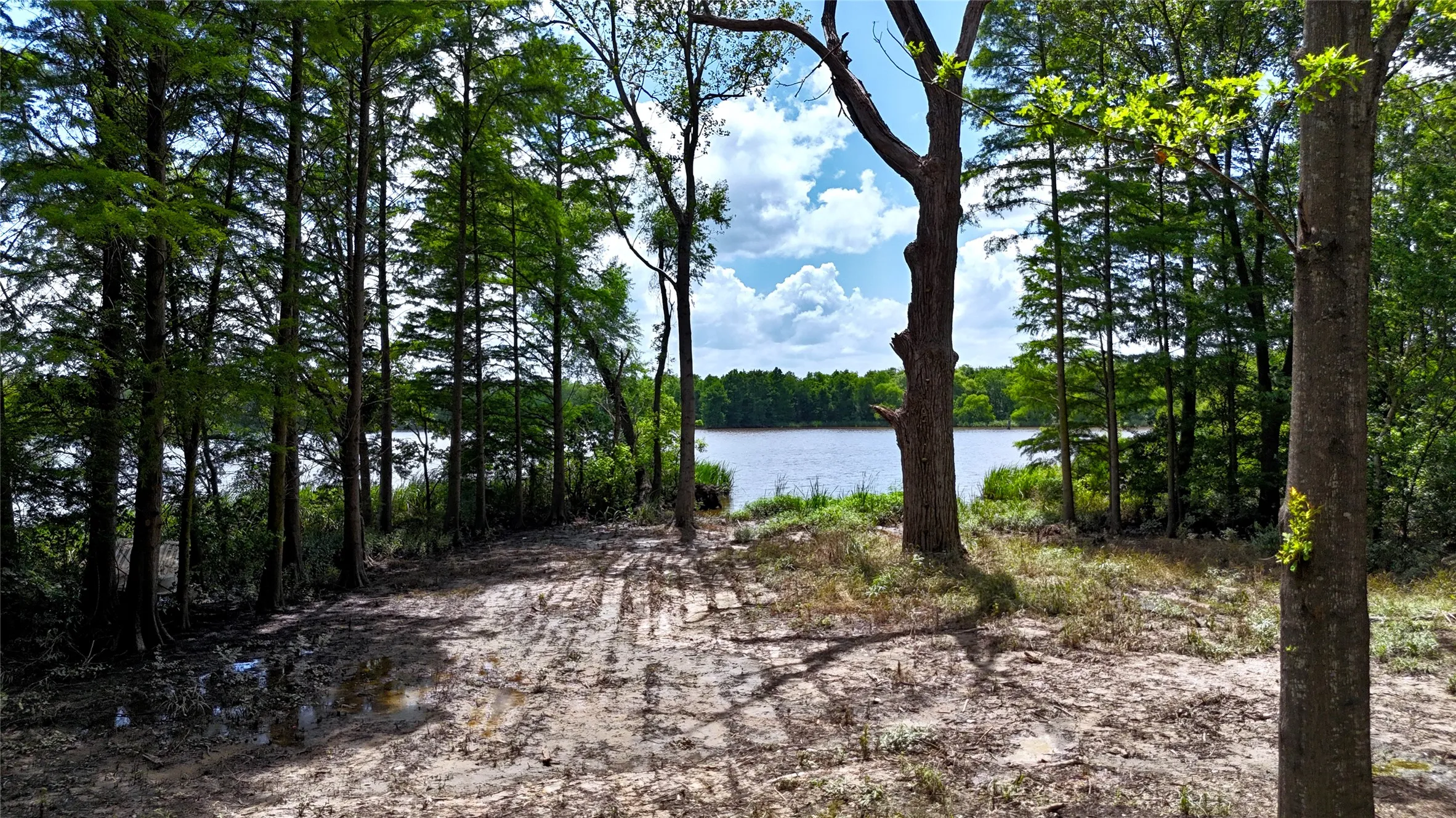 Unimproved Land For Sale in Henderson County , Lot 340 Grand View Drive, Athens, Texas 75752, 0, 0, Garage spaces, 0 Sqft, built in 0, Price $163,500, mls#20975093, Real Estate Agent in Athens, Homes For Sale in Henderson county, Homes For Sale in Athens, Realtor in Athens Texas, Real Estate Brokerage Independent Realty Texas, Luminita Cordes Realtor