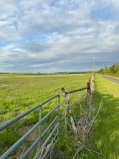 Unimproved Land For Sale in Navarro County , 000 State Hwy 31 Bypass, Corsicana, Texas 75110, 0, 0, Garage spaces, 0 Sqft, built in 0, Price $125,000, mls#20974281, Real Estate Agent in Corsicana, Homes For Sale in Navarro county, Homes For Sale in Corsicana, Realtor in Corsicana Texas, Real Estate Brokerage Independent Realty Texas, Luminita Cordes Realtor