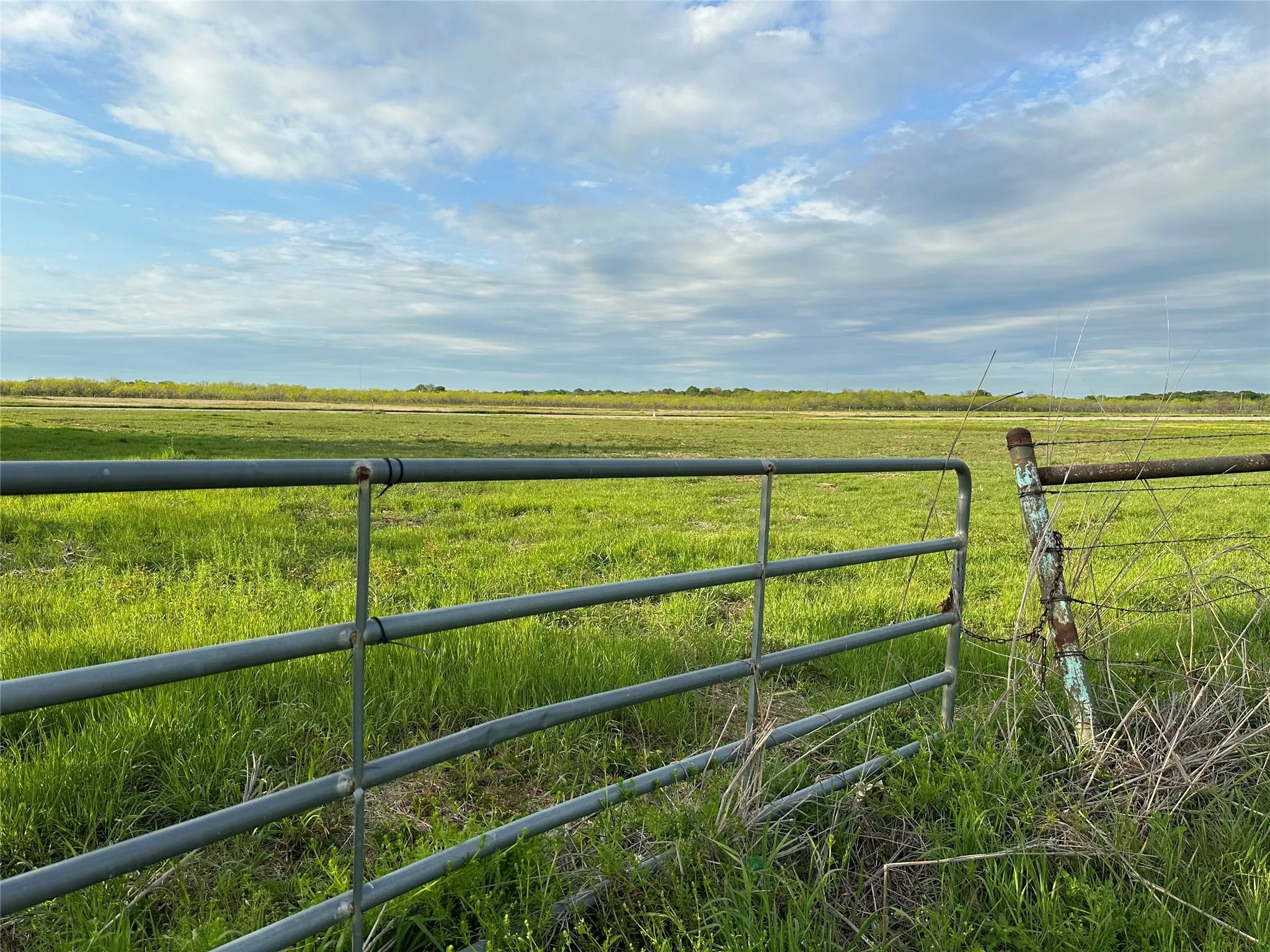 View of yard featuring a rural view