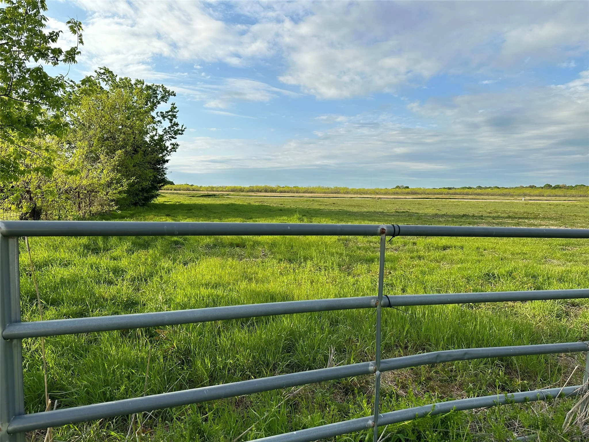 View of yard with a rural view