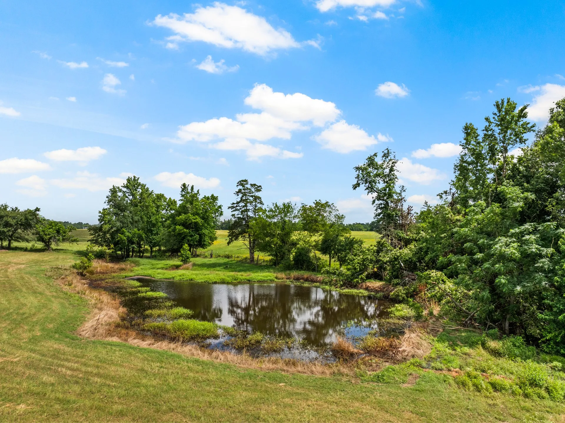Farm For Sale in Camp County , 468 CR 4211, Pittsburg, Texas 75686, 3 Bedrooms, 2 Bathrooms, Garage spaces, 1,649 Sqft, built in 1965, Price $699,900, mls#20975830, Real Estate Agent in Pittsburg, Homes For Sale in Camp county, Homes For Sale in Pittsburg, Realtor in Pittsburg Texas, Real Estate Brokerage Independent Realty Texas, Luminita Cordes Realtor