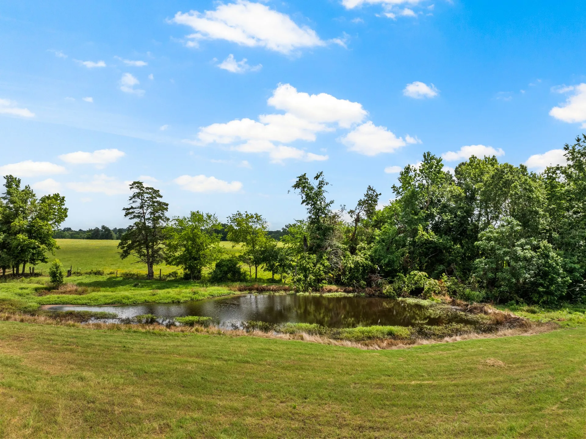 Farm For Sale in Camp County , 468 CR 4211, Pittsburg, Texas 75686, 3 Bedrooms, 2 Bathrooms, Garage spaces, 1,649 Sqft, built in 1965, Price $699,900, mls#20975830, Real Estate Agent in Pittsburg, Homes For Sale in Camp county, Homes For Sale in Pittsburg, Realtor in Pittsburg Texas, Real Estate Brokerage Independent Realty Texas, Luminita Cordes Realtor