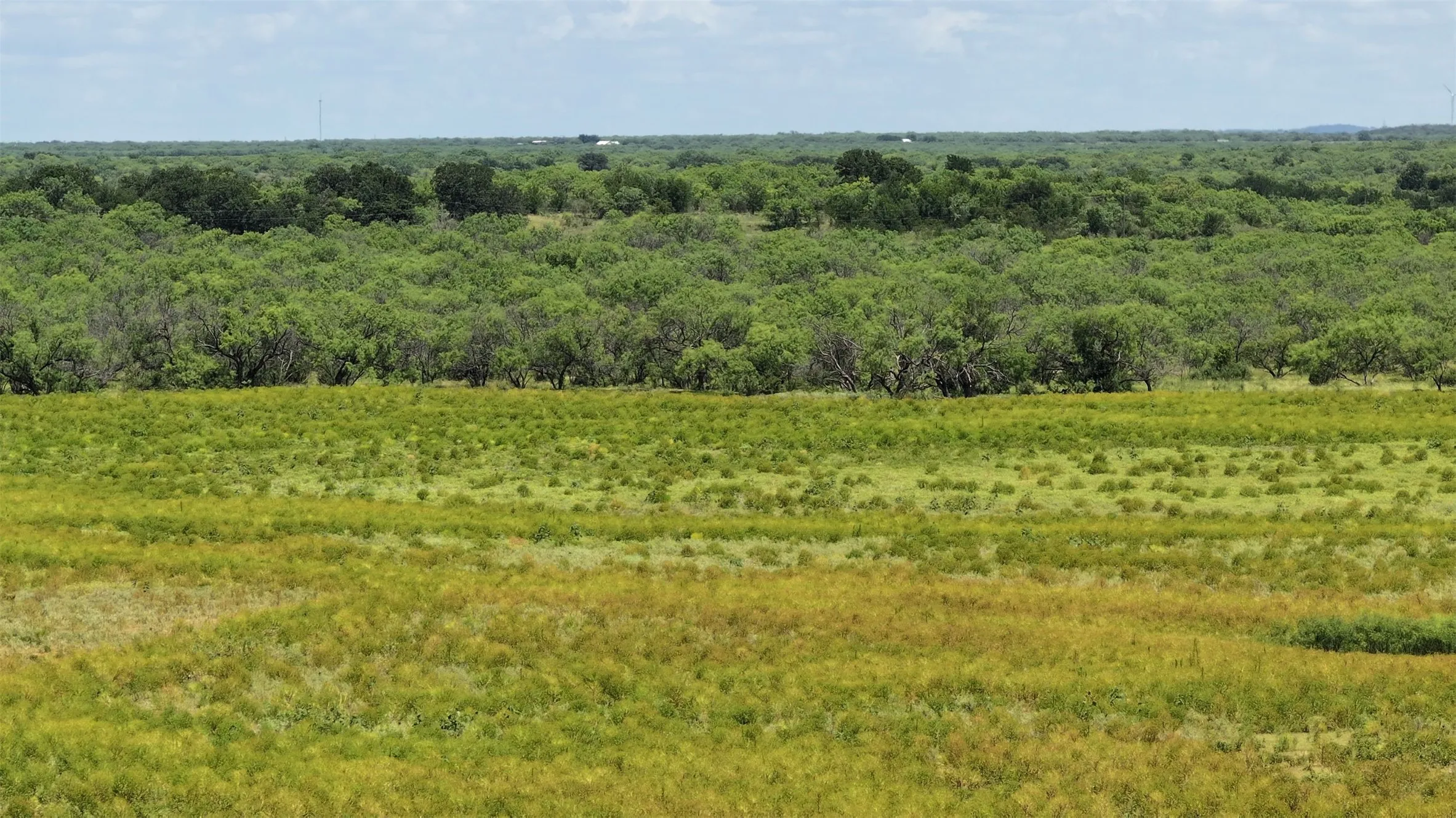 Ranch For Sale in Shackelford County , 2850 County Road 122, Albany, Texas 76430, 0, 0, Garage spaces, 0 Sqft, built in 0, mls#20976784, Real Estate Agent in Albany, Homes For Sale in Shackelford county, Homes For Sale in Albany, Realtor in Albany Texas, Real Estate Brokerage Independent Realty Texas, Luminita Cordes Realtor