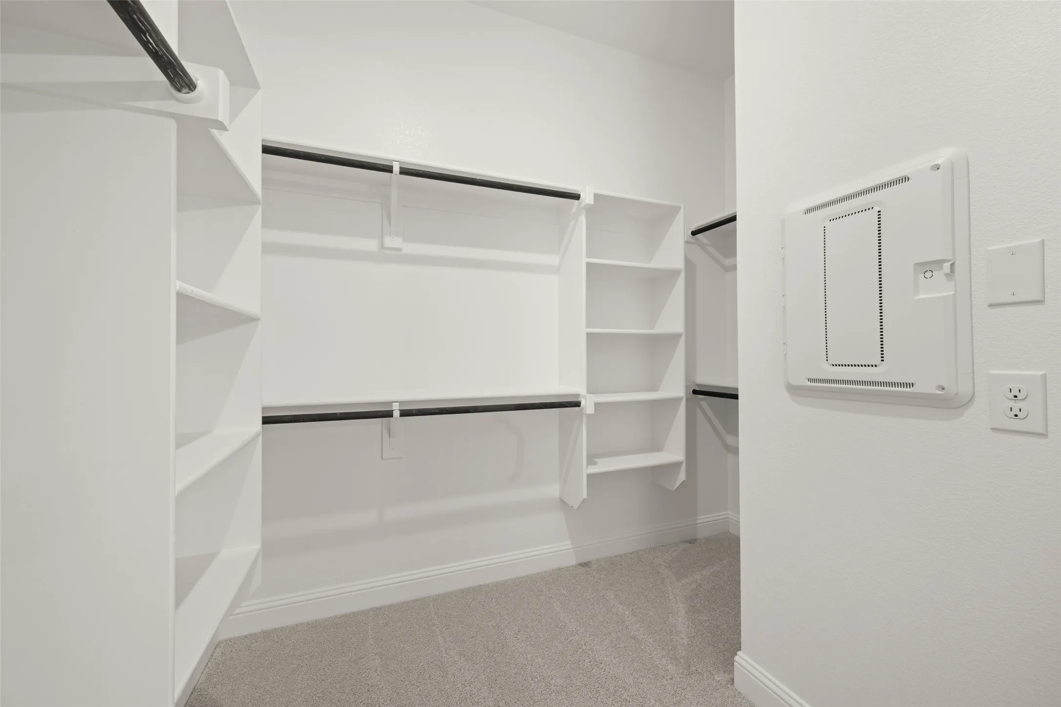 Spacious closet featuring carpet