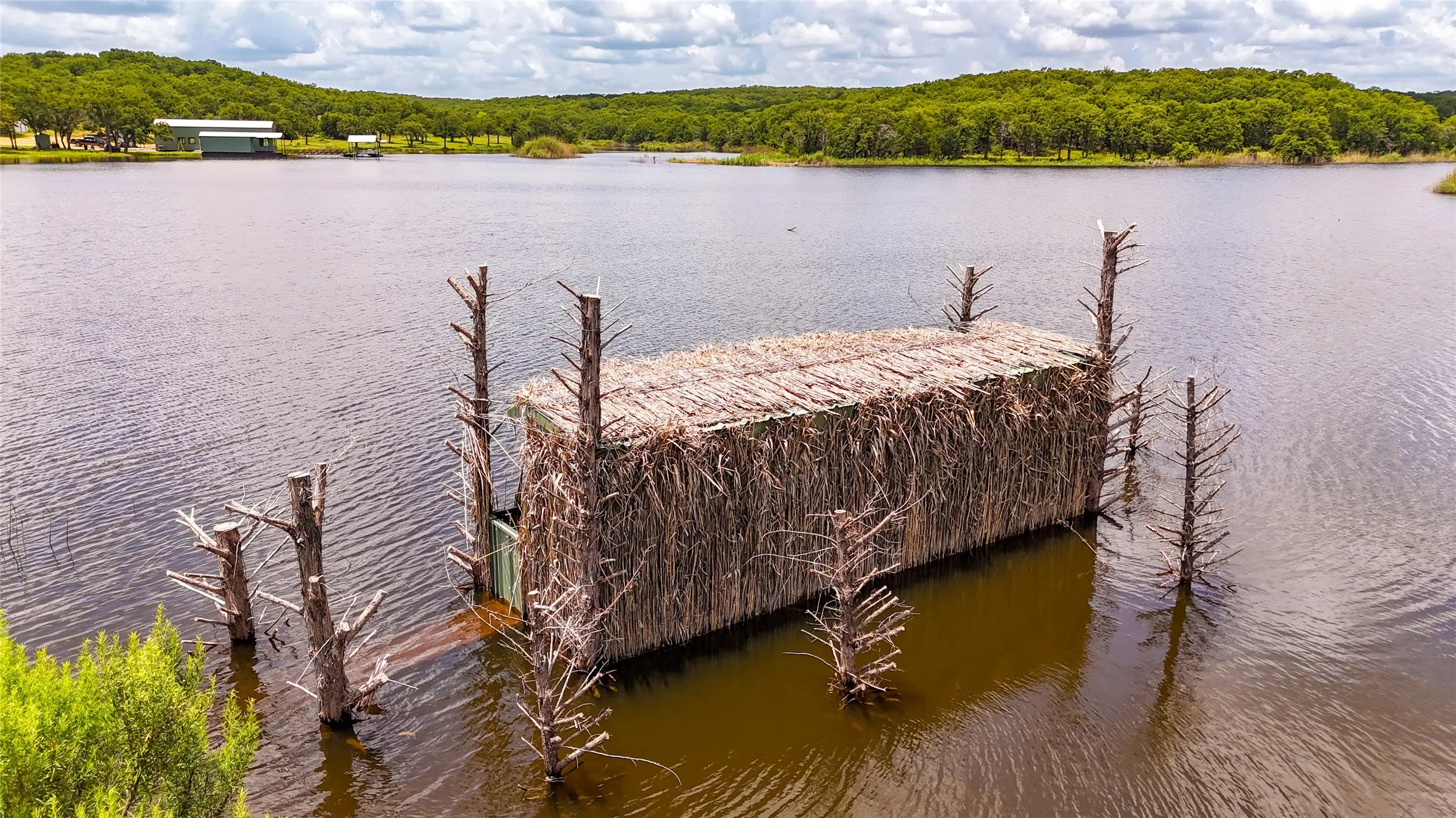 Dock with a water view and a view of trees