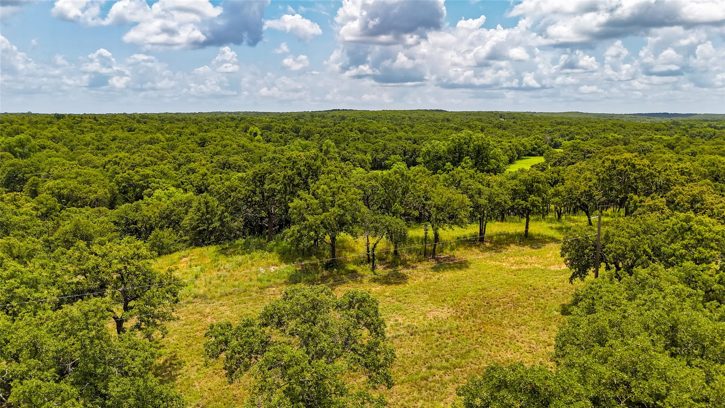 Bird's eye view of a heavily wooded area
