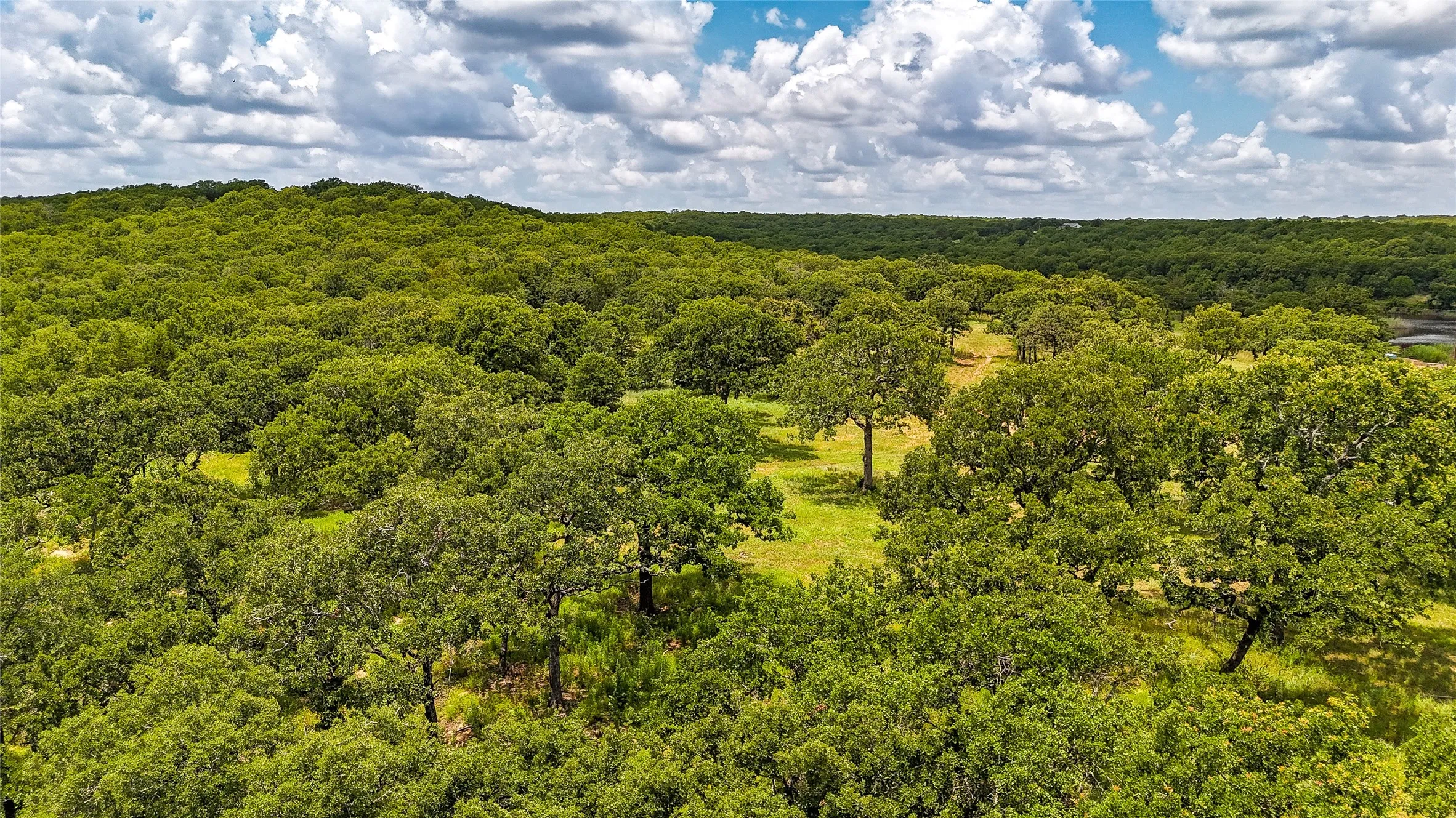 Drone / aerial view of a heavily wooded area