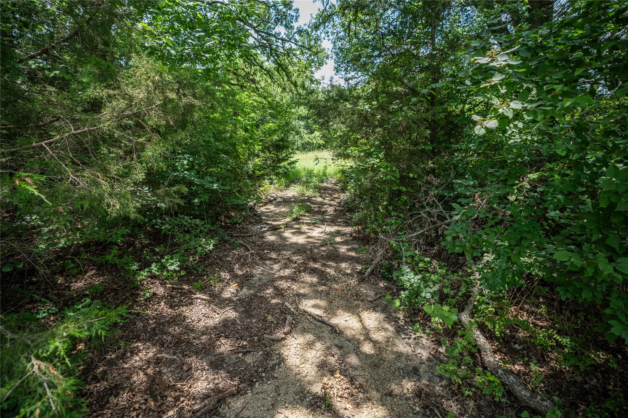 Unimproved Land For Sale in Kaufman County , TBD CR-129 5 Acres, Terrell, Texas 75161, 0, 0, Garage spaces, 0 Sqft, built in 0, Price $250,000, mls#20974359, Real Estate Agent in Terrell, Homes For Sale in Kaufman county, Homes For Sale in Terrell, Realtor in Terrell Texas, Real Estate Brokerage Independent Realty Texas, Luminita Cordes Realtor