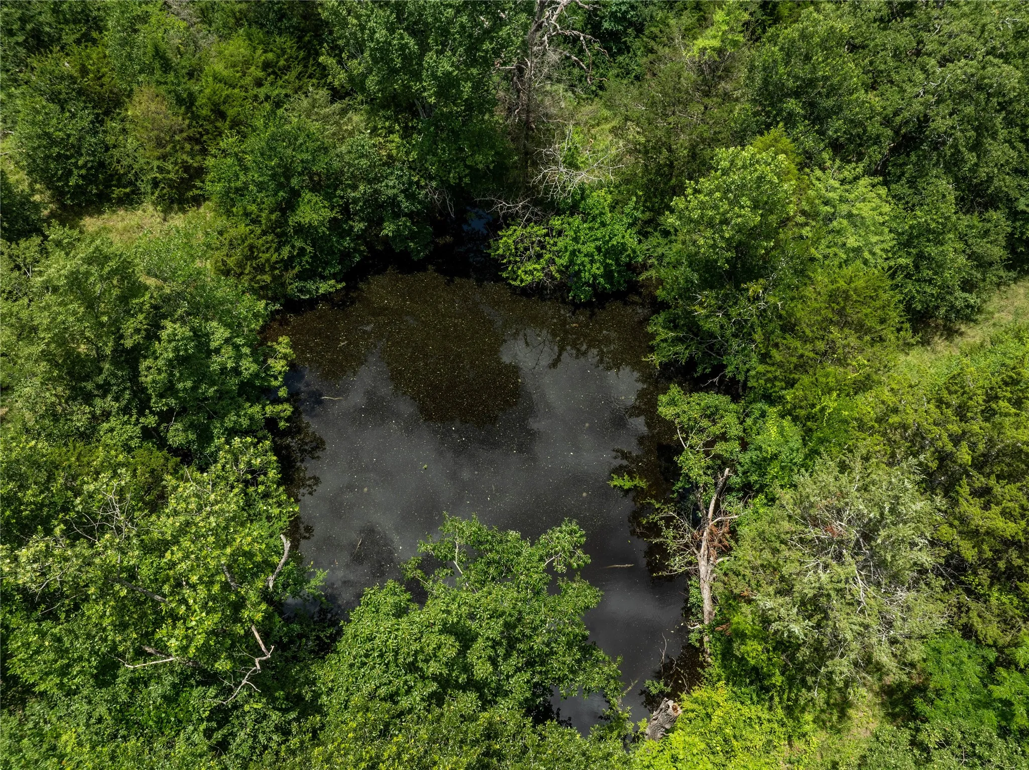Unimproved Land For Sale in Kaufman County , TBD CR-129 5 Acres, Terrell, Texas 75161, 0, 0, Garage spaces, 0 Sqft, built in 0, Price $250,000, mls#20974359, Real Estate Agent in Terrell, Homes For Sale in Kaufman county, Homes For Sale in Terrell, Realtor in Terrell Texas, Real Estate Brokerage Independent Realty Texas, Luminita Cordes Realtor