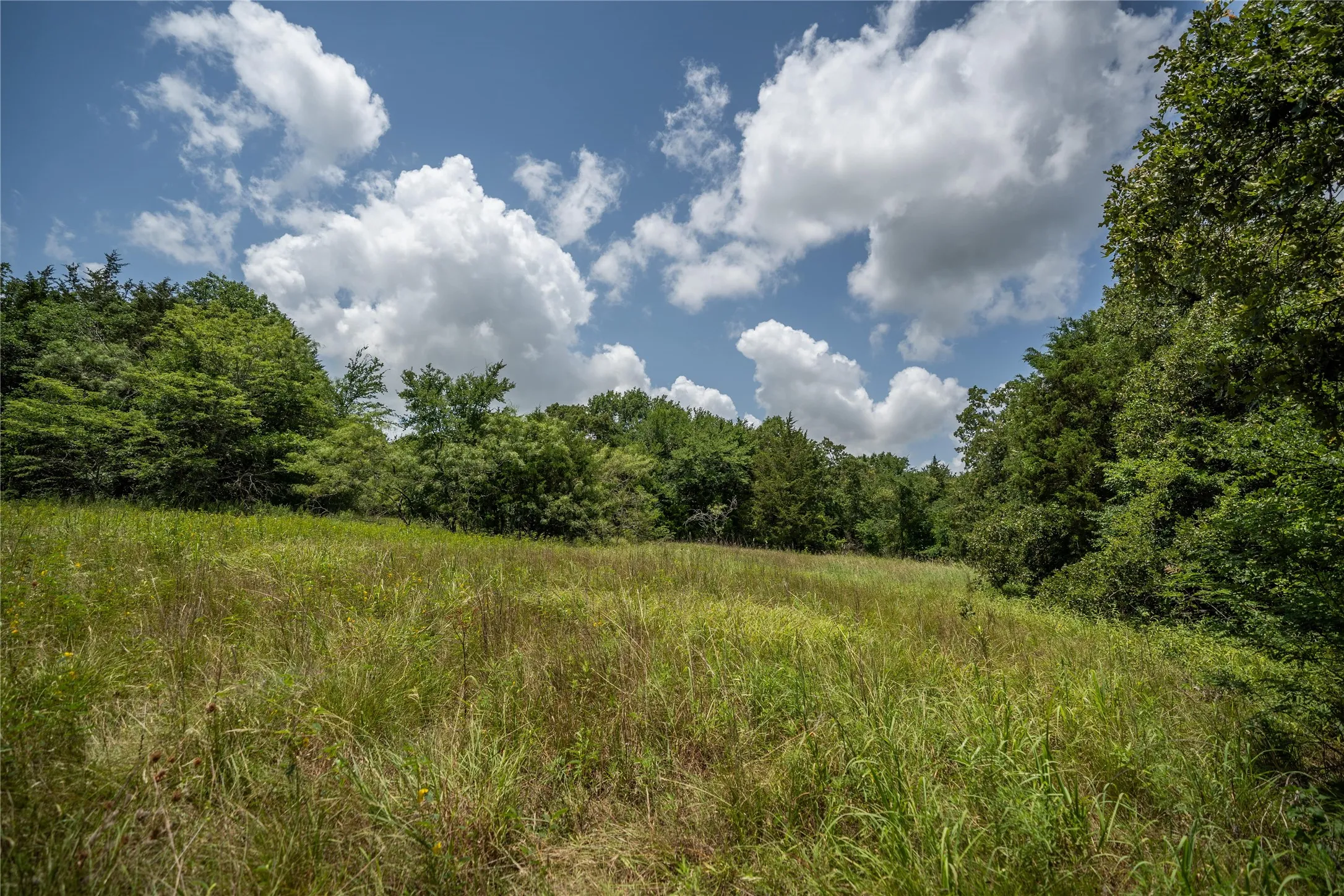 Unimproved Land For Sale in Kaufman County , TBD CR-129 5 Acres, Terrell, Texas 75161, 0, 0, Garage spaces, 0 Sqft, built in 0, Price $250,000, mls#20974359, Real Estate Agent in Terrell, Homes For Sale in Kaufman county, Homes For Sale in Terrell, Realtor in Terrell Texas, Real Estate Brokerage Independent Realty Texas, Luminita Cordes Realtor