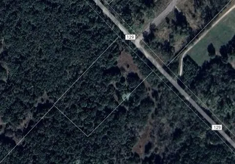 Unimproved Land For Sale in Kaufman County , TBD CR-129 5 Acres, Terrell, Texas 75161, 0, 0, Garage spaces, 0 Sqft, built in 0, Price $250,000, mls#20974359, Real Estate Agent in Terrell, Homes For Sale in Kaufman county, Homes For Sale in Terrell, Realtor in Terrell Texas, Real Estate Brokerage Independent Realty Texas, Luminita Cordes Realtor
