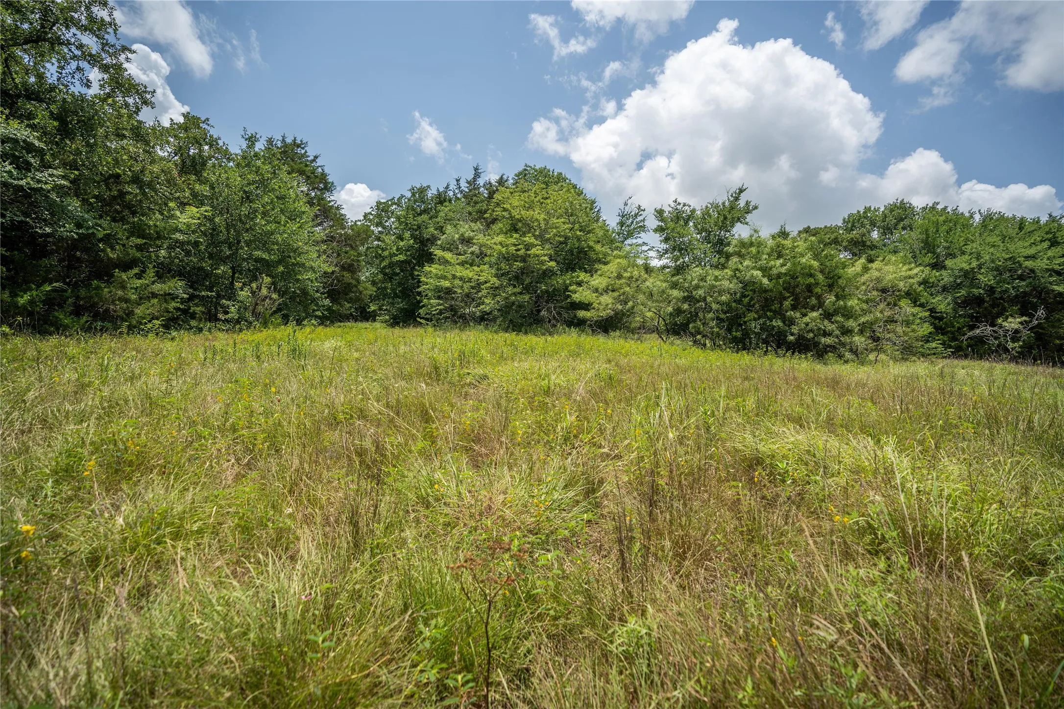 Unimproved Land For Sale in Kaufman County , TBD CR-129 5 Acres, Terrell, Texas 75161, 0, 0, Garage spaces, 0 Sqft, built in 0, Price $250,000, mls#20974359, Real Estate Agent in Terrell, Homes For Sale in Kaufman county, Homes For Sale in Terrell, Realtor in Terrell Texas, Real Estate Brokerage Independent Realty Texas, Luminita Cordes Realtor