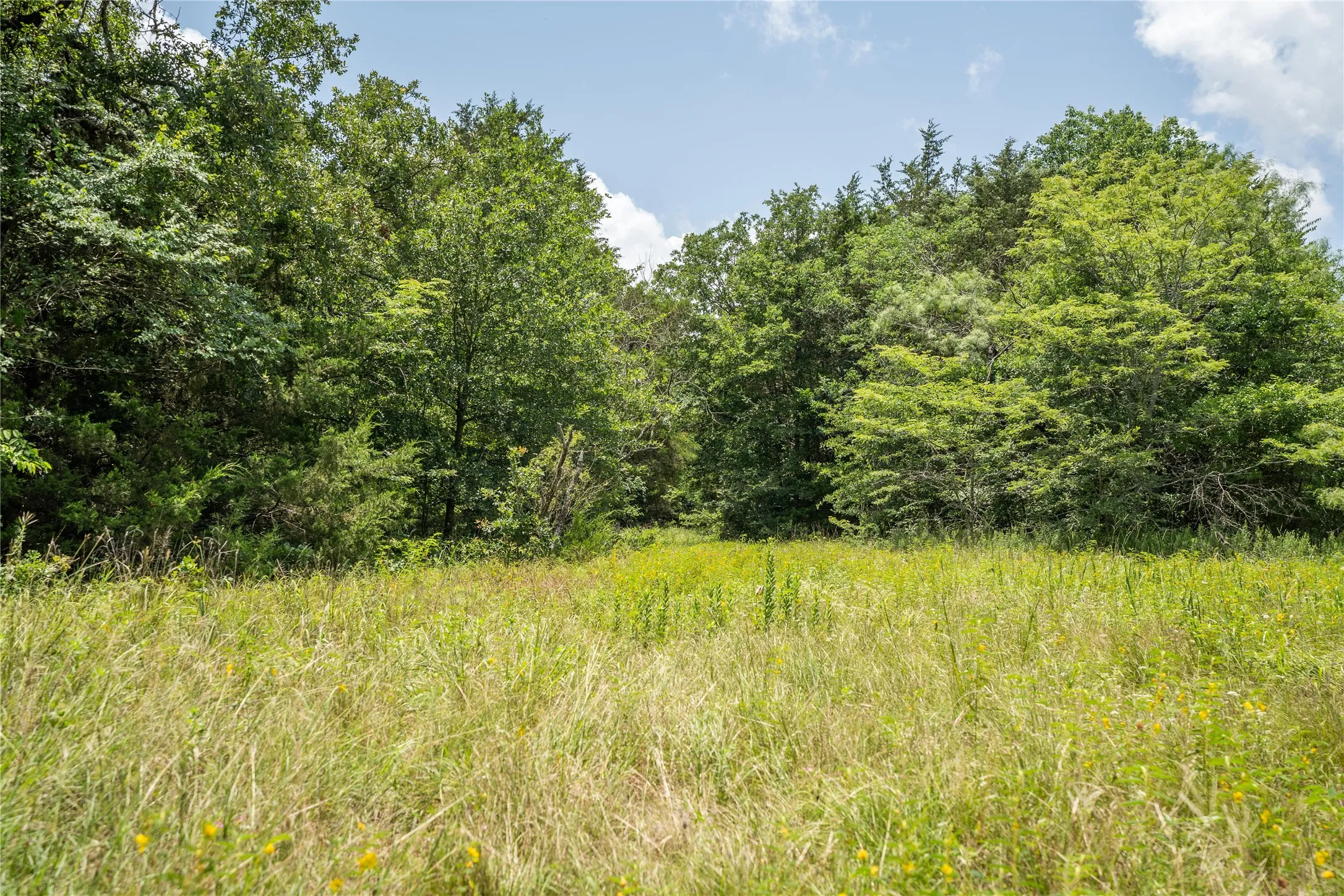 Unimproved Land For Sale in Kaufman County , TBD CR-129 5 Acres, Terrell, Texas 75161, 0, 0, Garage spaces, 0 Sqft, built in 0, Price $250,000, mls#20974359, Real Estate Agent in Terrell, Homes For Sale in Kaufman county, Homes For Sale in Terrell, Realtor in Terrell Texas, Real Estate Brokerage Independent Realty Texas, Luminita Cordes Realtor