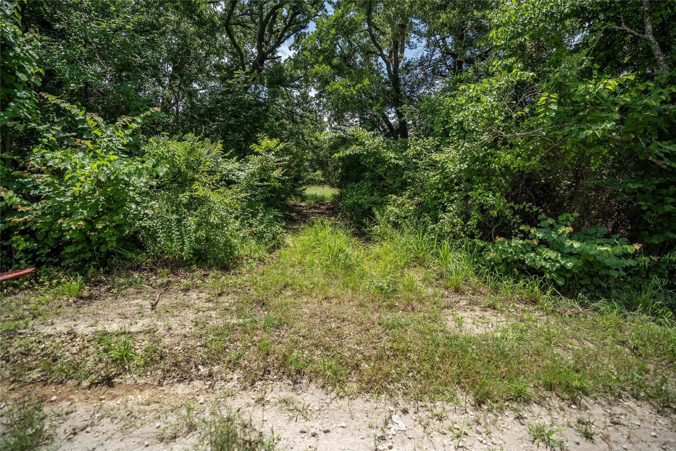 Unimproved Land For Sale in Kaufman County , TBD CR-129 5 Acres, Terrell, Texas 75161, 0, 0, Garage spaces, 0 Sqft, built in 0, Price $250,000, mls#20974359, Real Estate Agent in Terrell, Homes For Sale in Kaufman county, Homes For Sale in Terrell, Realtor in Terrell Texas, Real Estate Brokerage Independent Realty Texas, Luminita Cordes Realtor