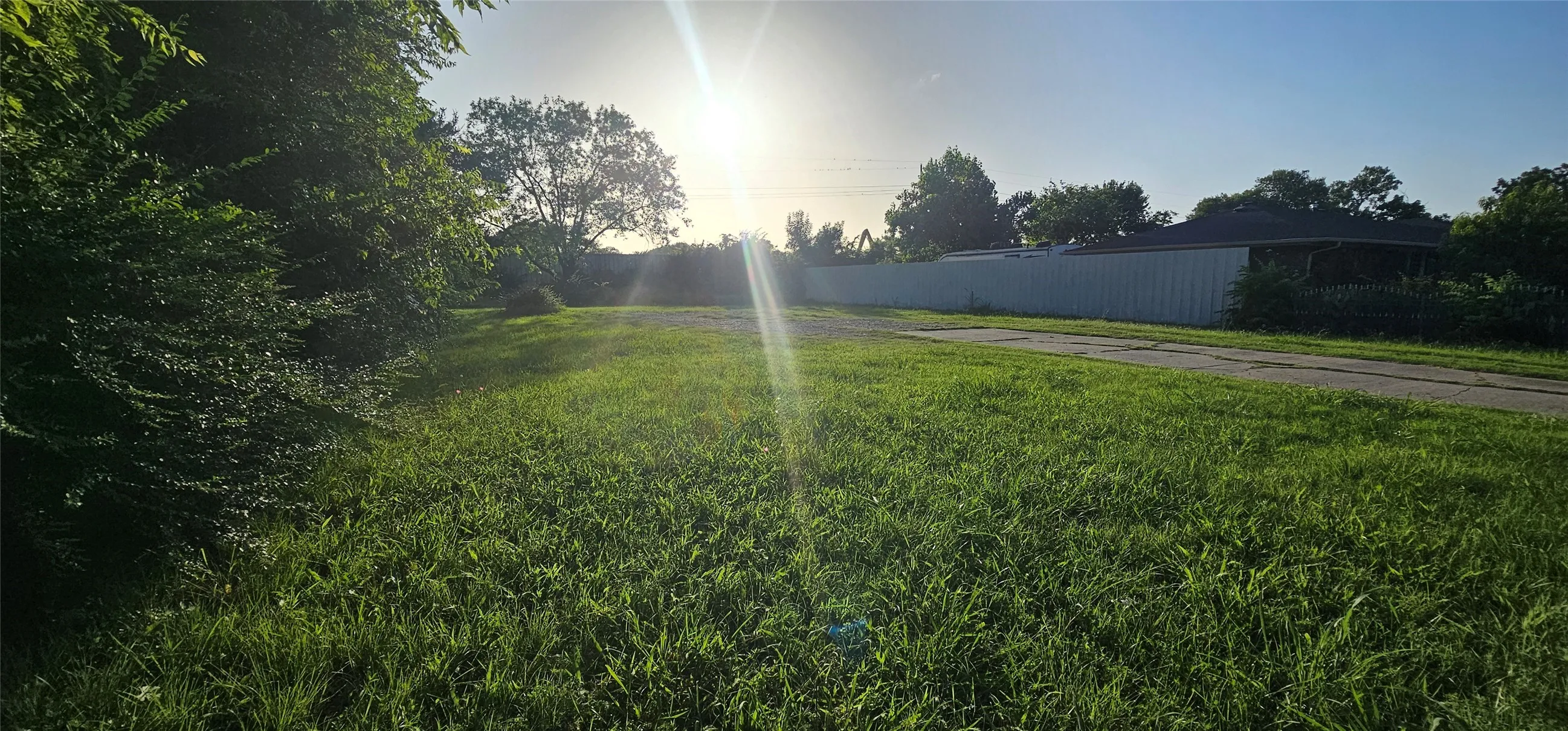 View of grassy yard