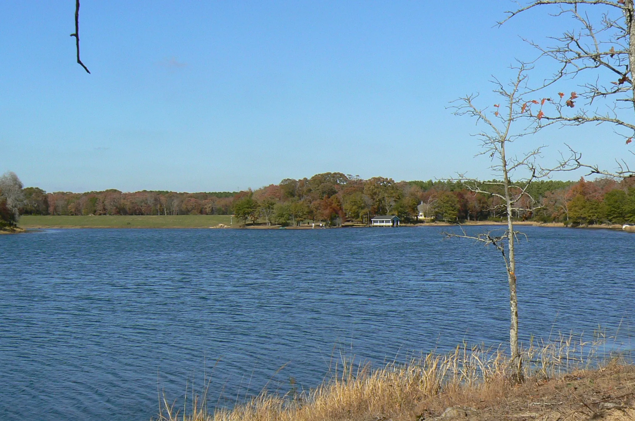 Unimproved Land For Sale in Henderson County , 9122 Safari Bluff, Larue, Texas 75770, 0, 0, Garage spaces, 0 Sqft, built in 0, Price $179,900, mls#20947459, Real Estate Agent in Larue, Homes For Sale in Henderson county, Homes For Sale in Larue, Realtor in Larue Texas, Real Estate Brokerage Independent Realty Texas, Luminita Cordes Realtor